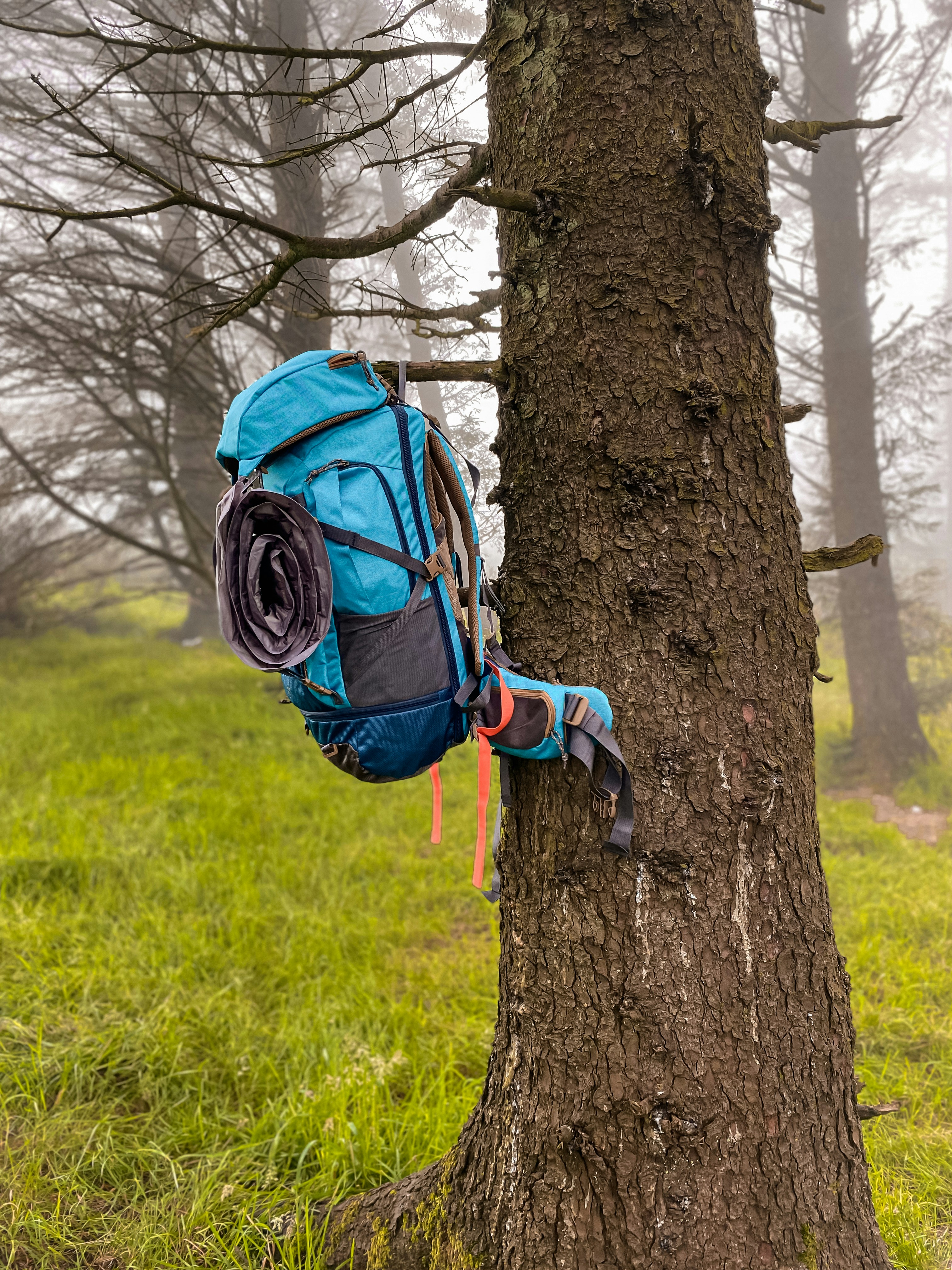 Spacious Trailblazer Backpack