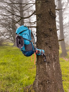 Adventure Patch Pack