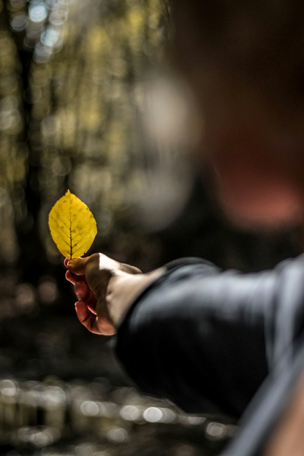 person holding yellow maple leaf