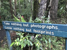 A wooden sign in a lush forest setting bears the message 'Take nothing but photographs, Leave nothing but footprints.' Trees with thick trunks and vibrant green foliage surround the area, with a path visible in the background. A few people in hiking attire can be seen walking along the path.