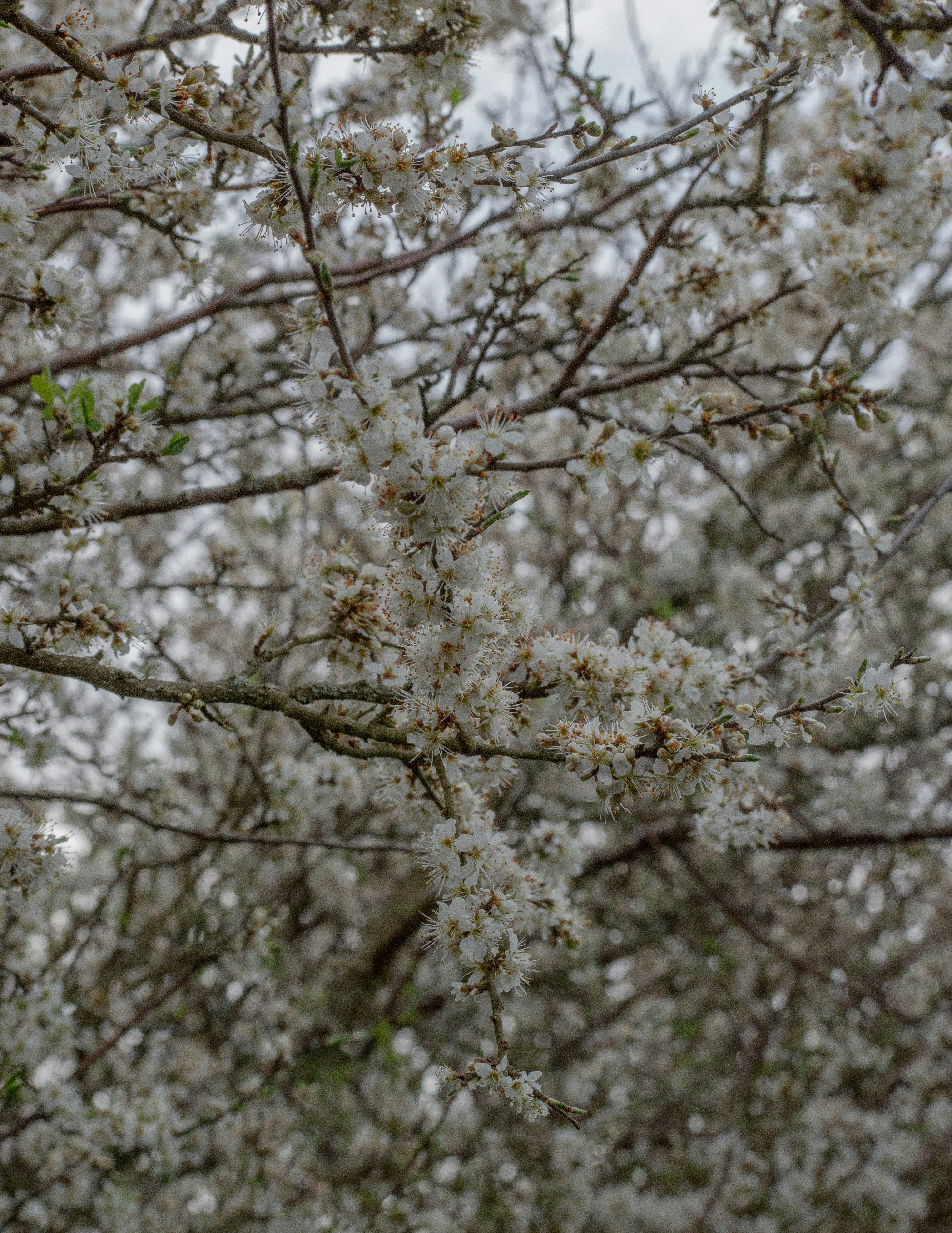 Photo by mgird