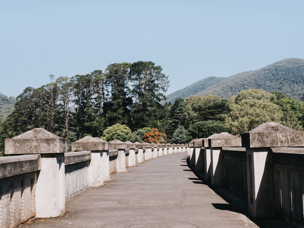 gray concrete bridge near green trees during daytime