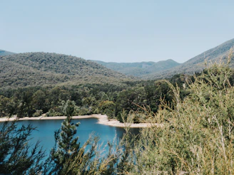 Scenic view of the serene lakes in the Forêt d'Orient near Troyes.