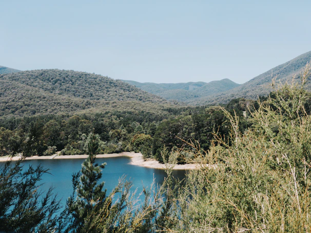 Scenic view of the serene lakes in the Forêt d'Orient near Troyes.
