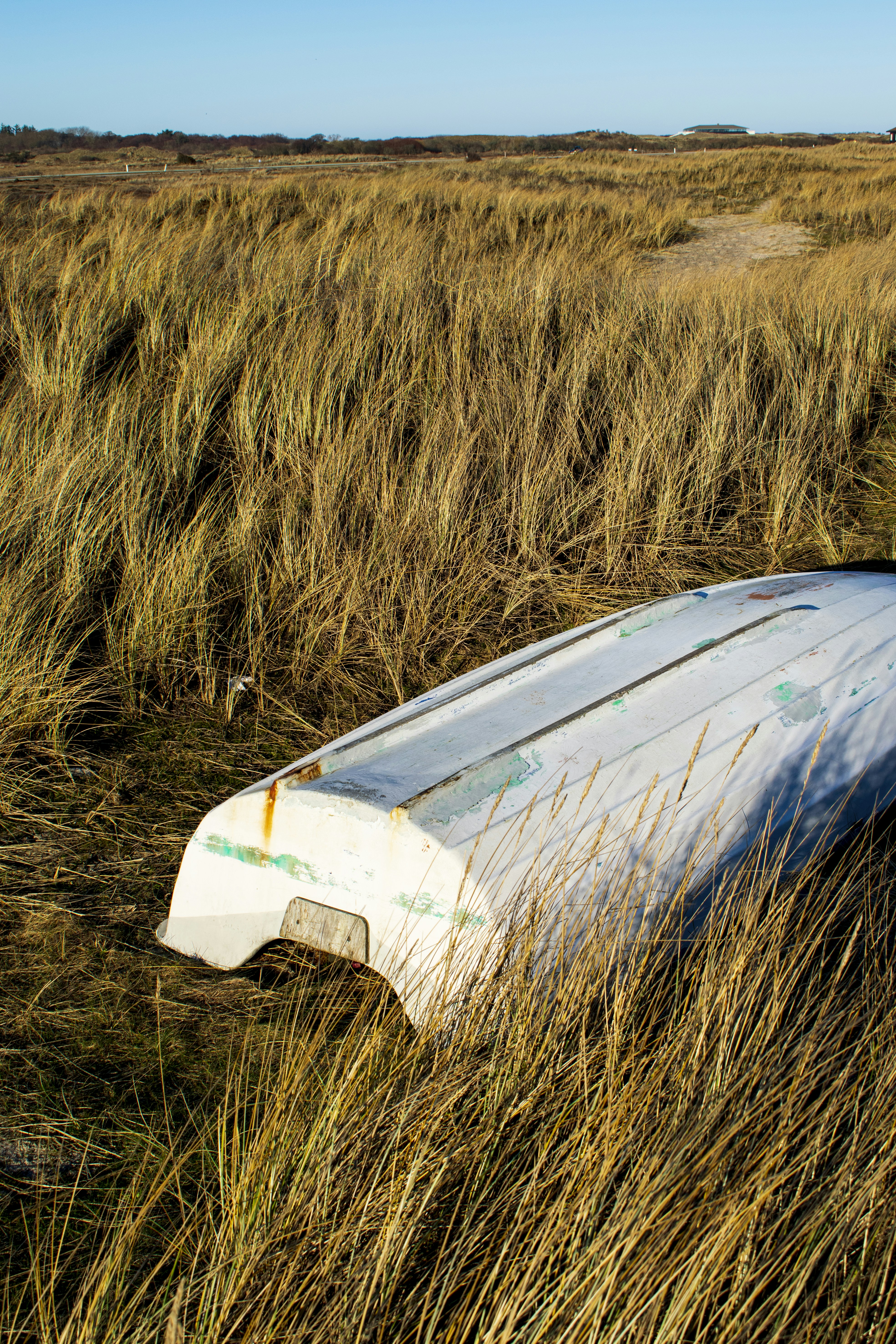 Photo by zuzi_ruttkay