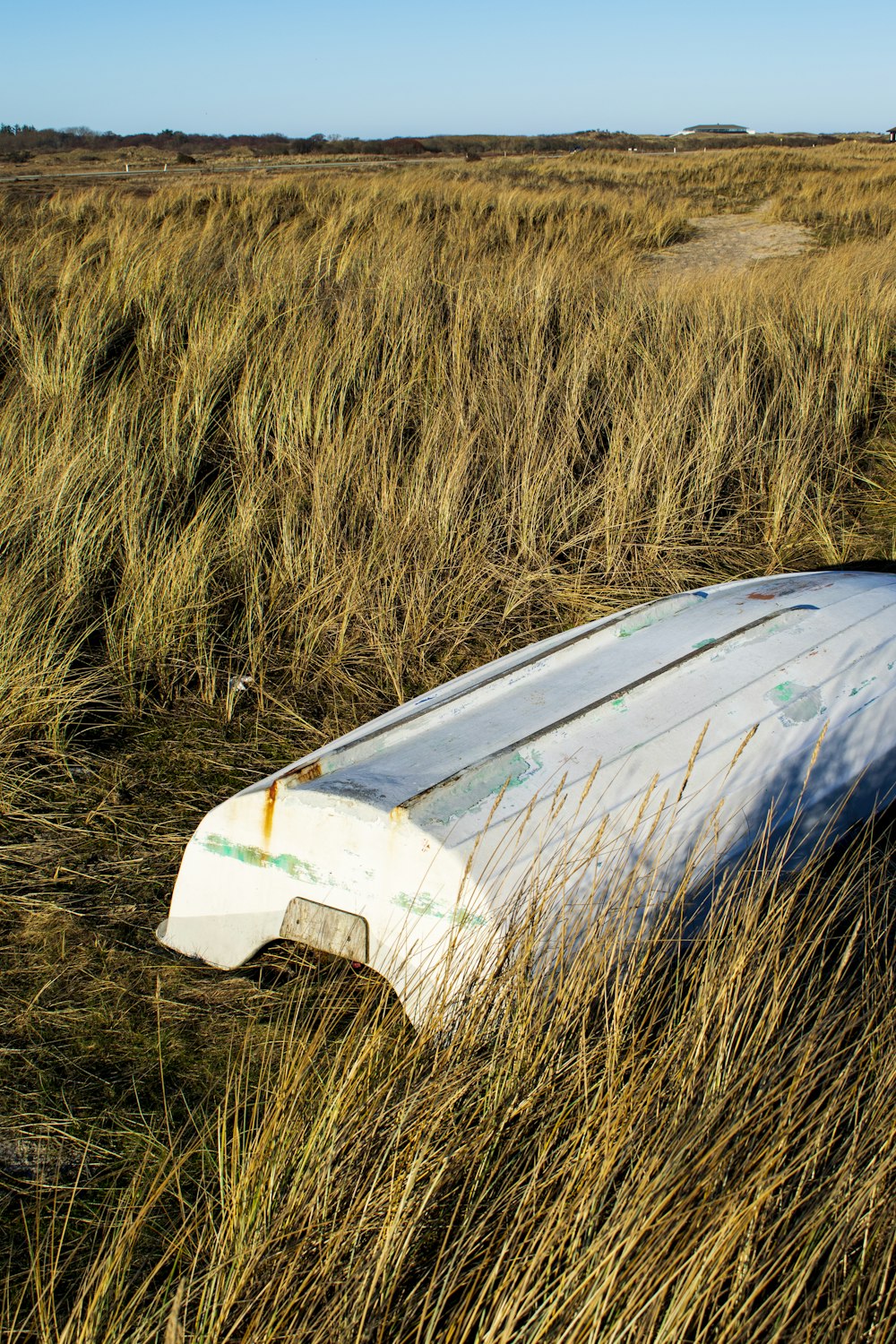 blue and white boat on brown grass field during daytime