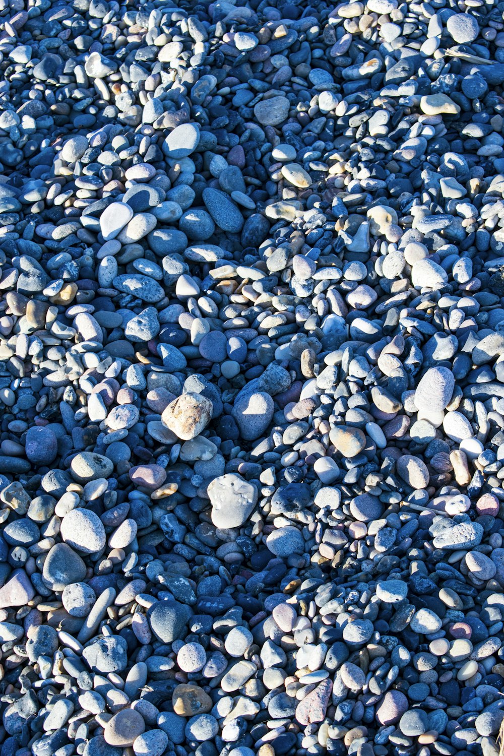 pierres blanches et grises sur galets bleus et blancs