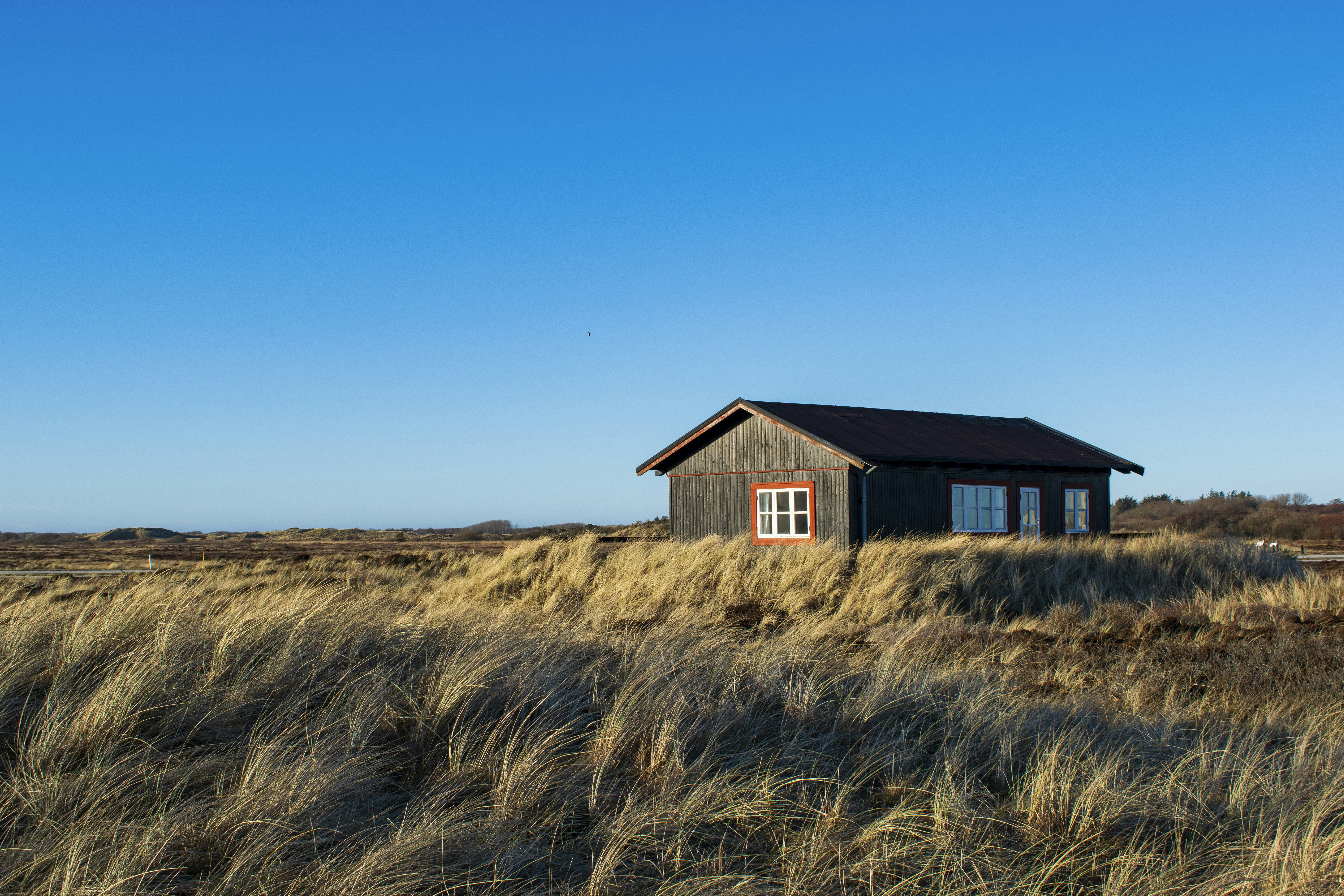 Photo by zuzi_ruttkay