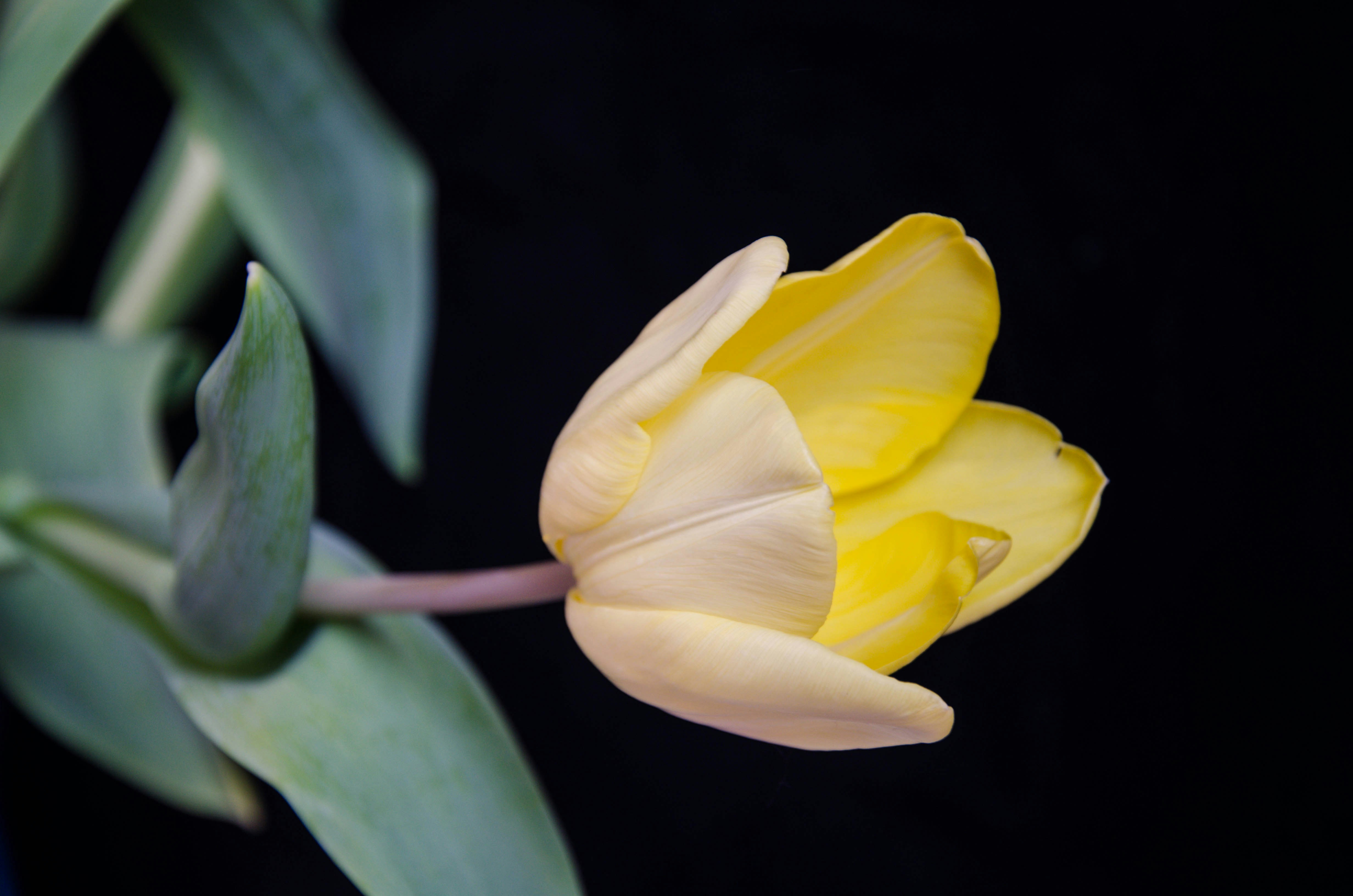 Photo by nika_benedictova