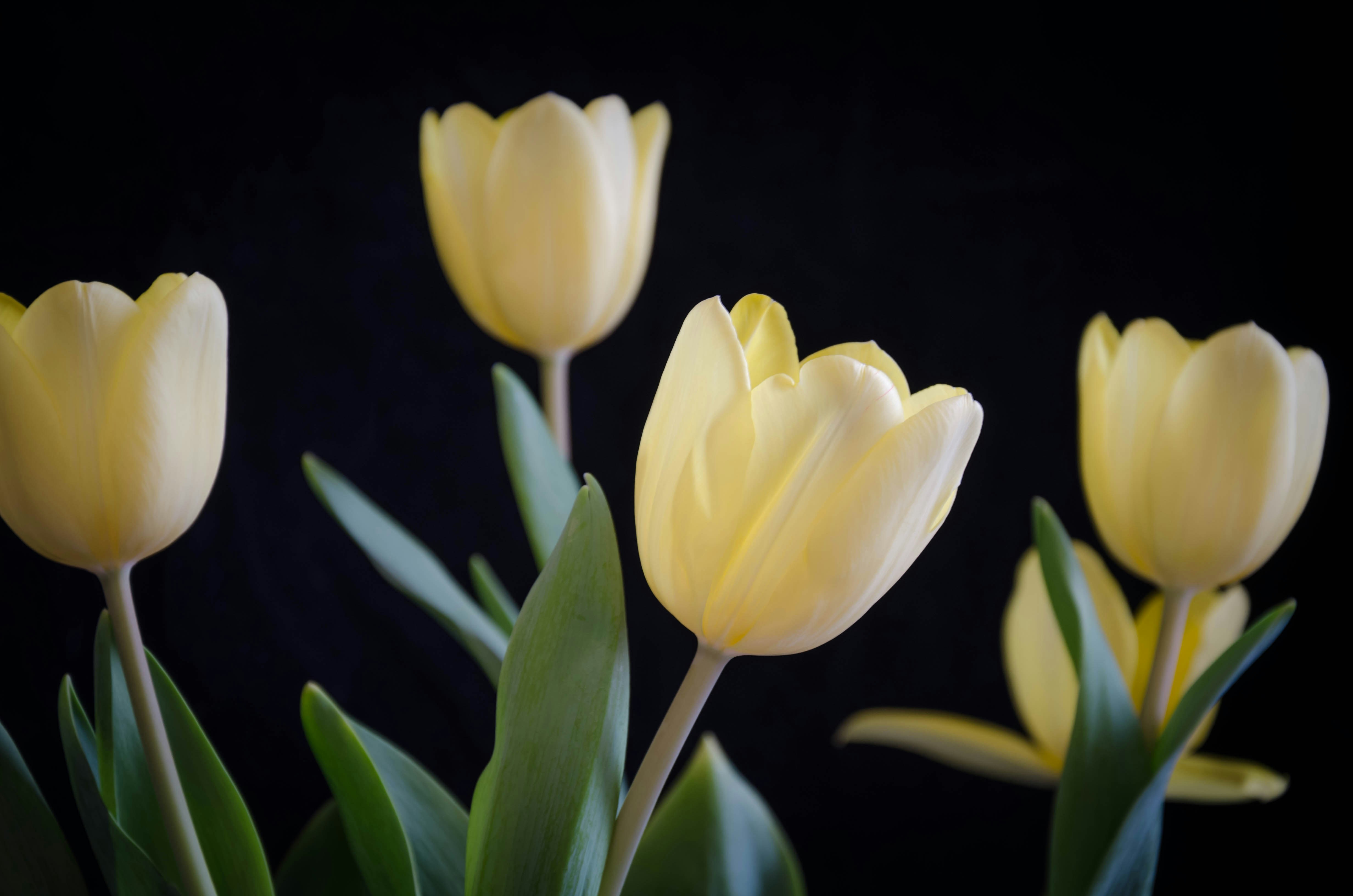 Photo by nika_benedictova