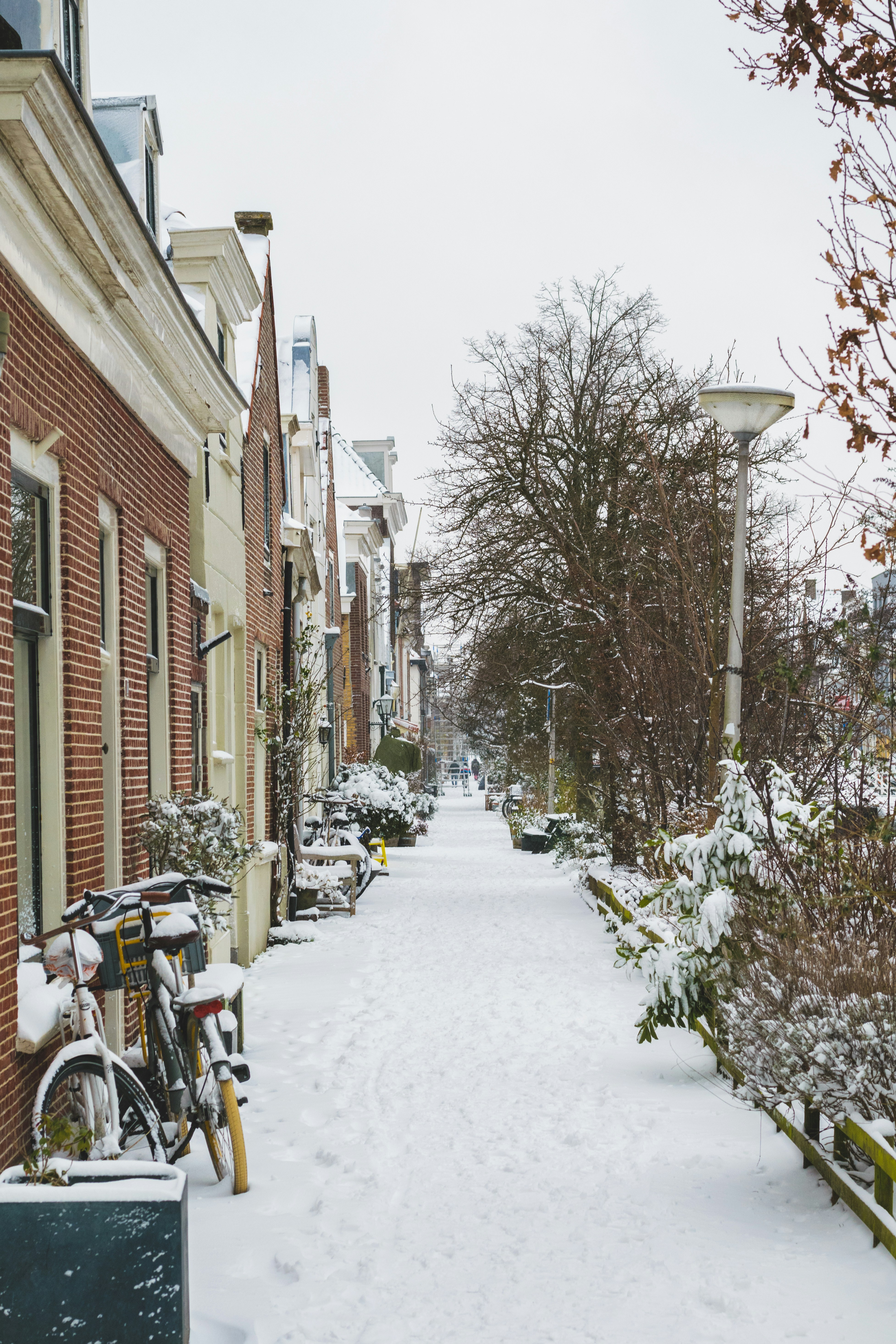 Photo by thezenoeffect