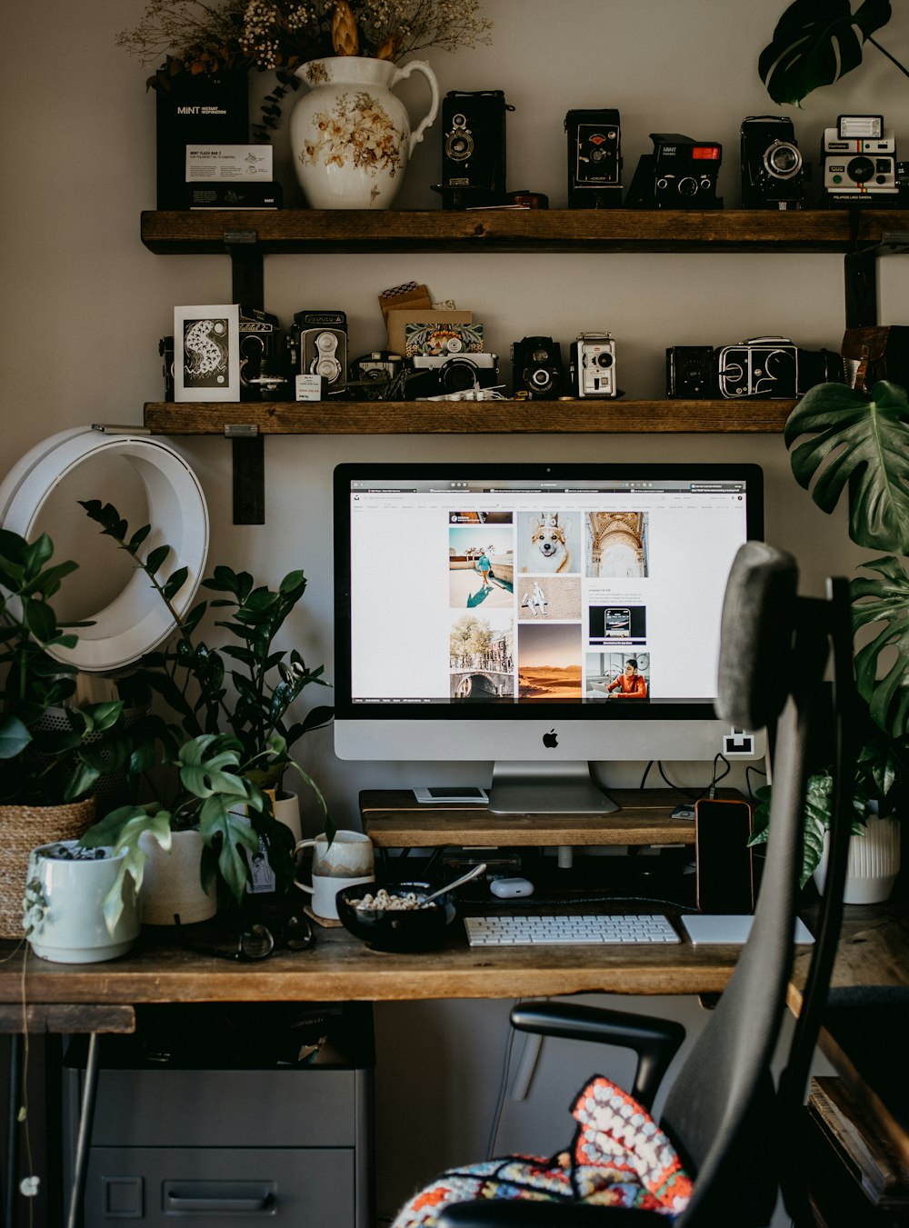 black flat screen tv turned on near green potted plant