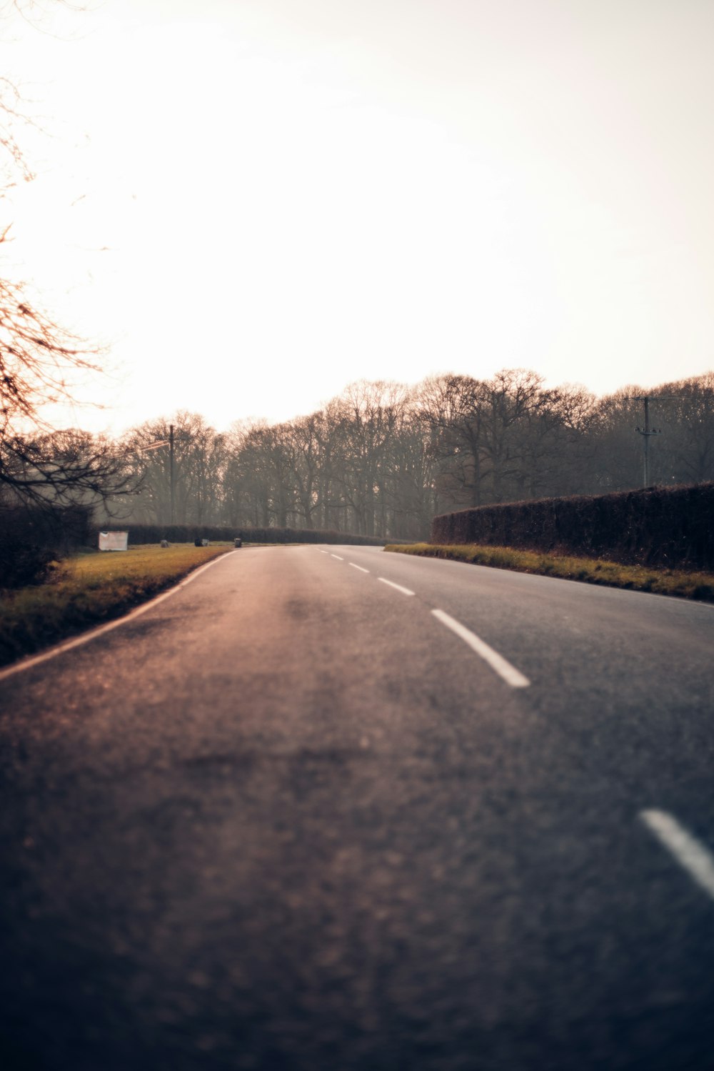 gray concrete road between trees during daytime