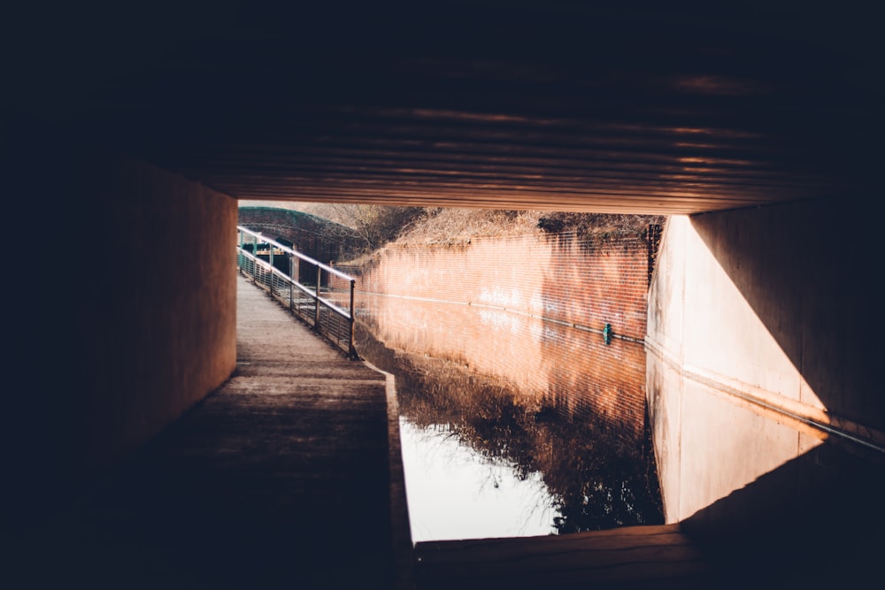 brown wooden dock over body of water during daytime