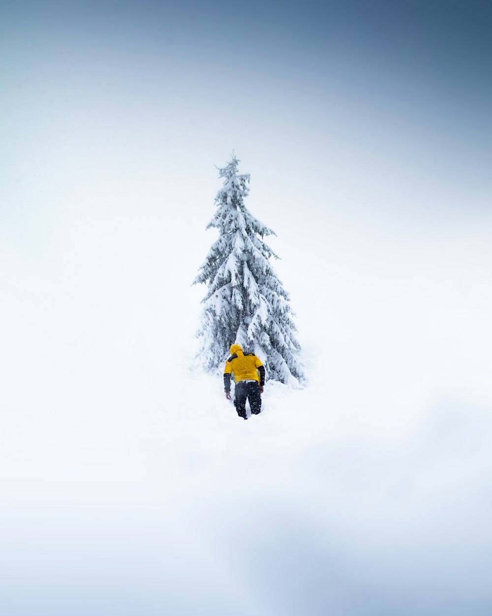 Persona in giacca gialla e pantaloni neri in piedi su terreno coperto di neve