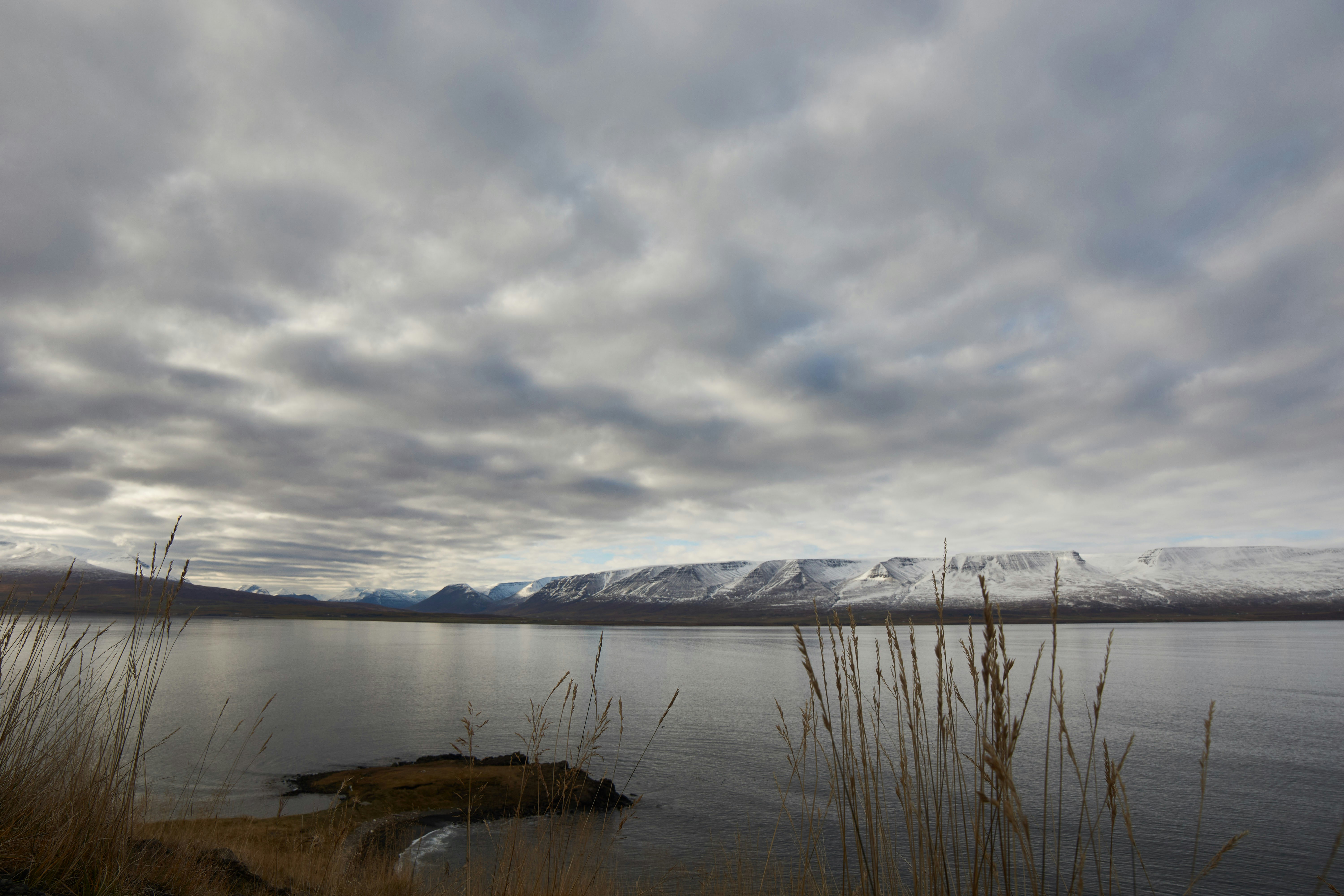 Photo by wolfgang_hasselmann