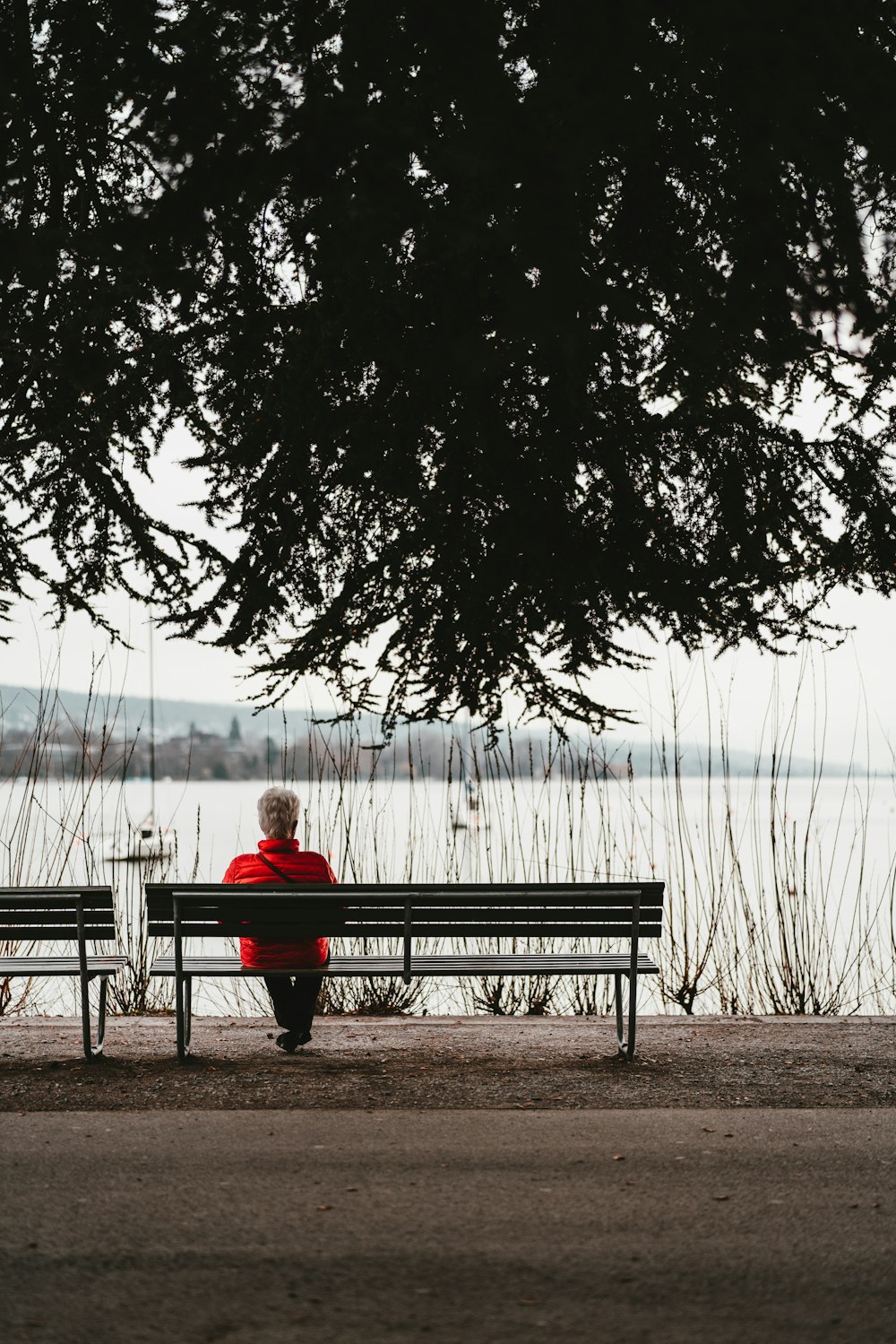 woman sitting on bench near body of water during daytime