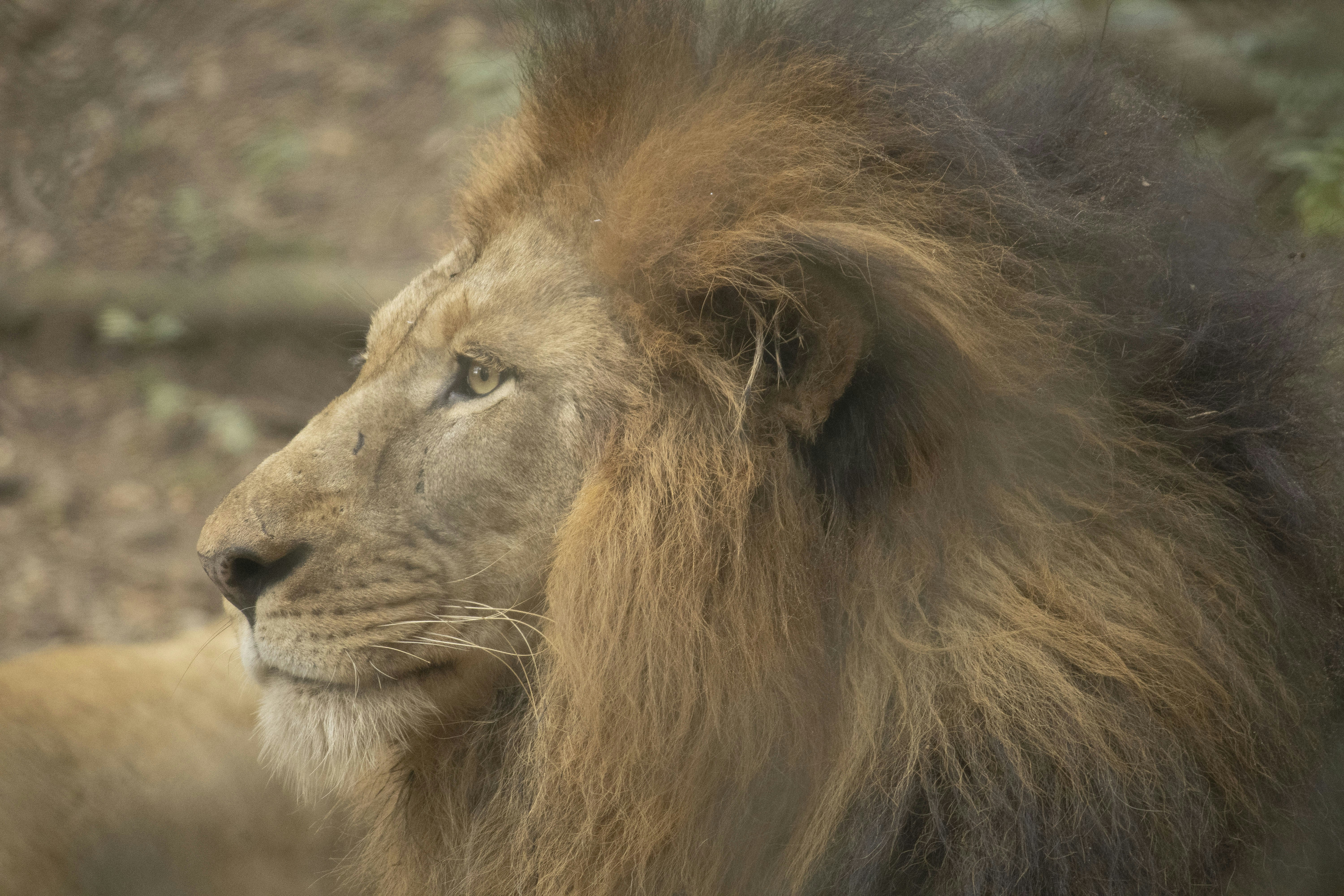 Photo by shivaraj_14