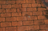 A series of engraved red bricks with various personal messages and dedications. The inscriptions often include references to the Boston Red Sox and expressions of loyalty and fandom, as well as dedications to family and friends.