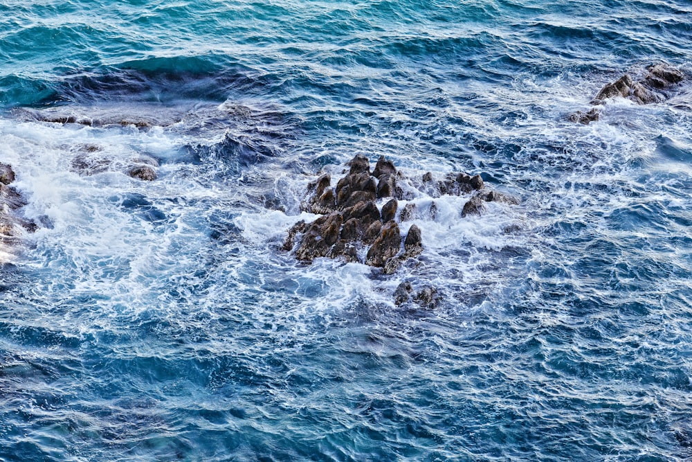 Meereswellen, die tagsüber auf Felsen stürzen