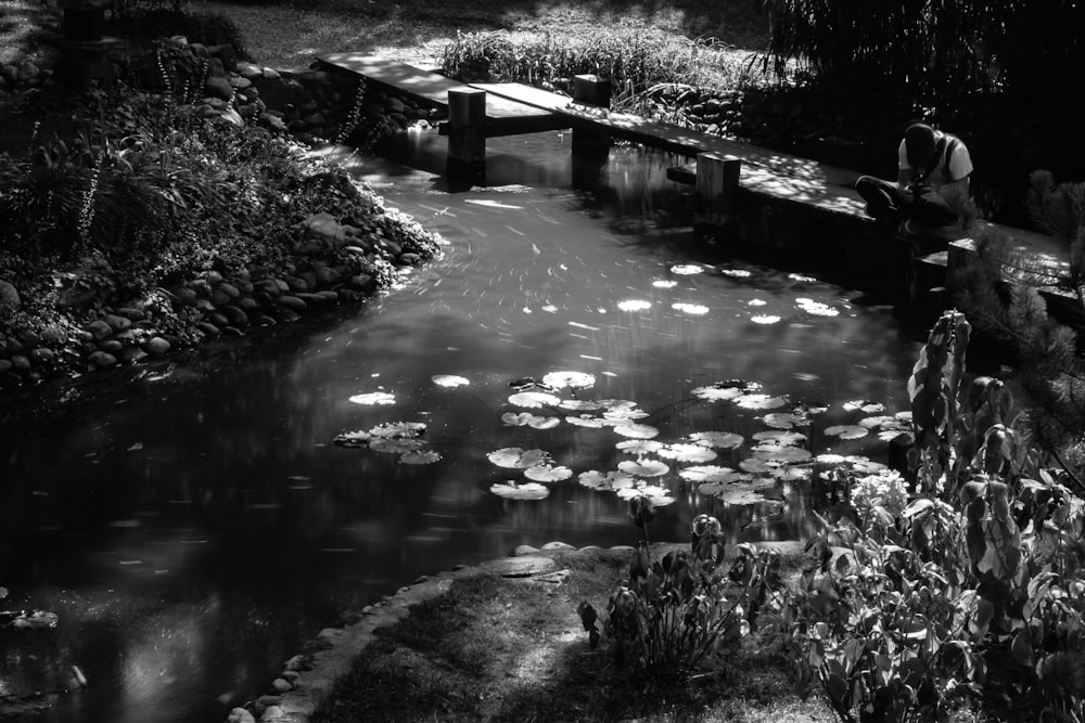 Photo en niveaux de gris d’une rivière entre les arbres