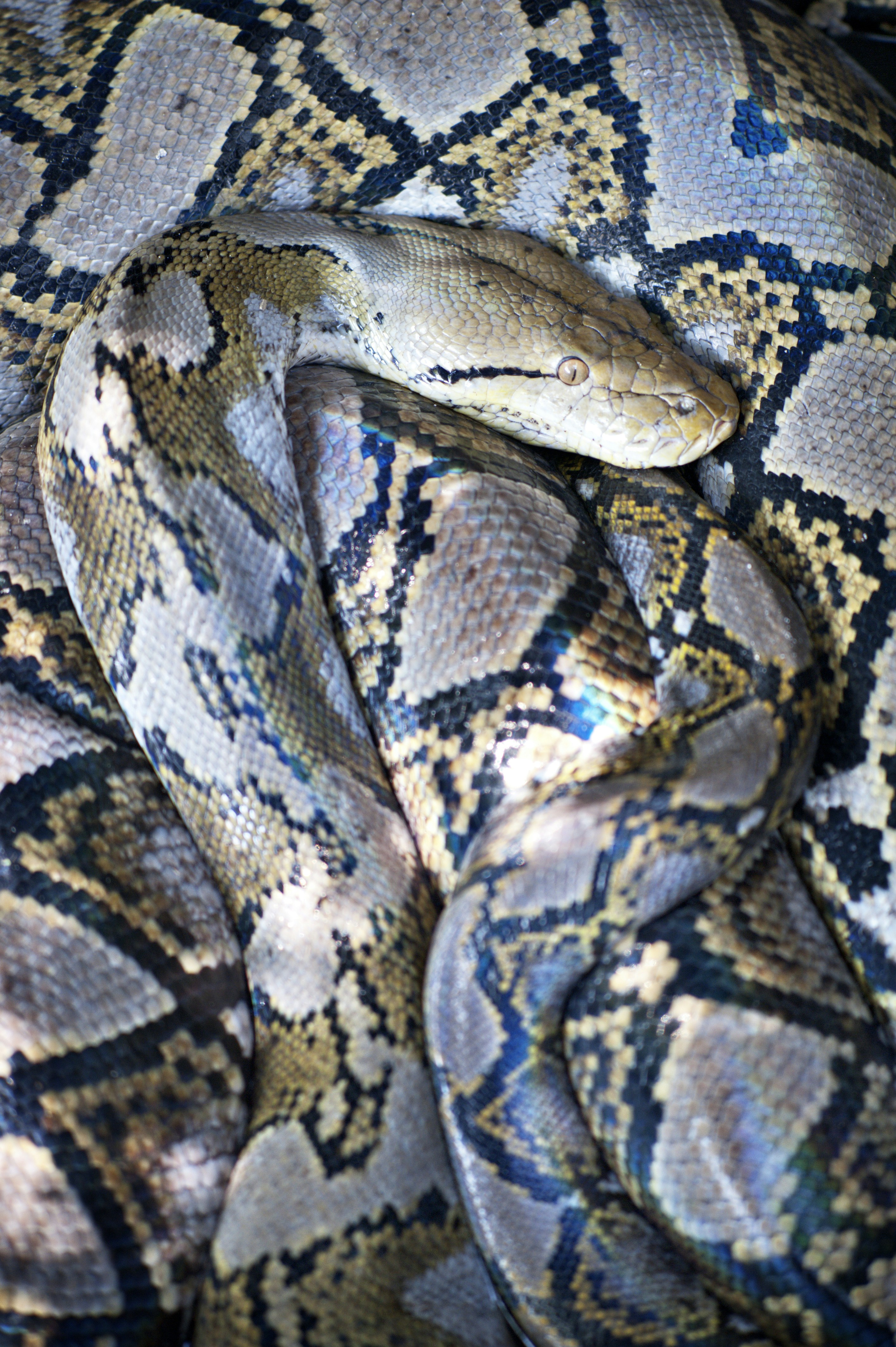 Photo by photographycoursenet