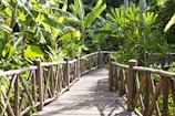 A wooden pathway with rustic railings meanders through dense, lush tropical vegetation. The area is filled with large green leaves and various types of tropical plants, creating a sense of being deep within a jungle or garden setting.
