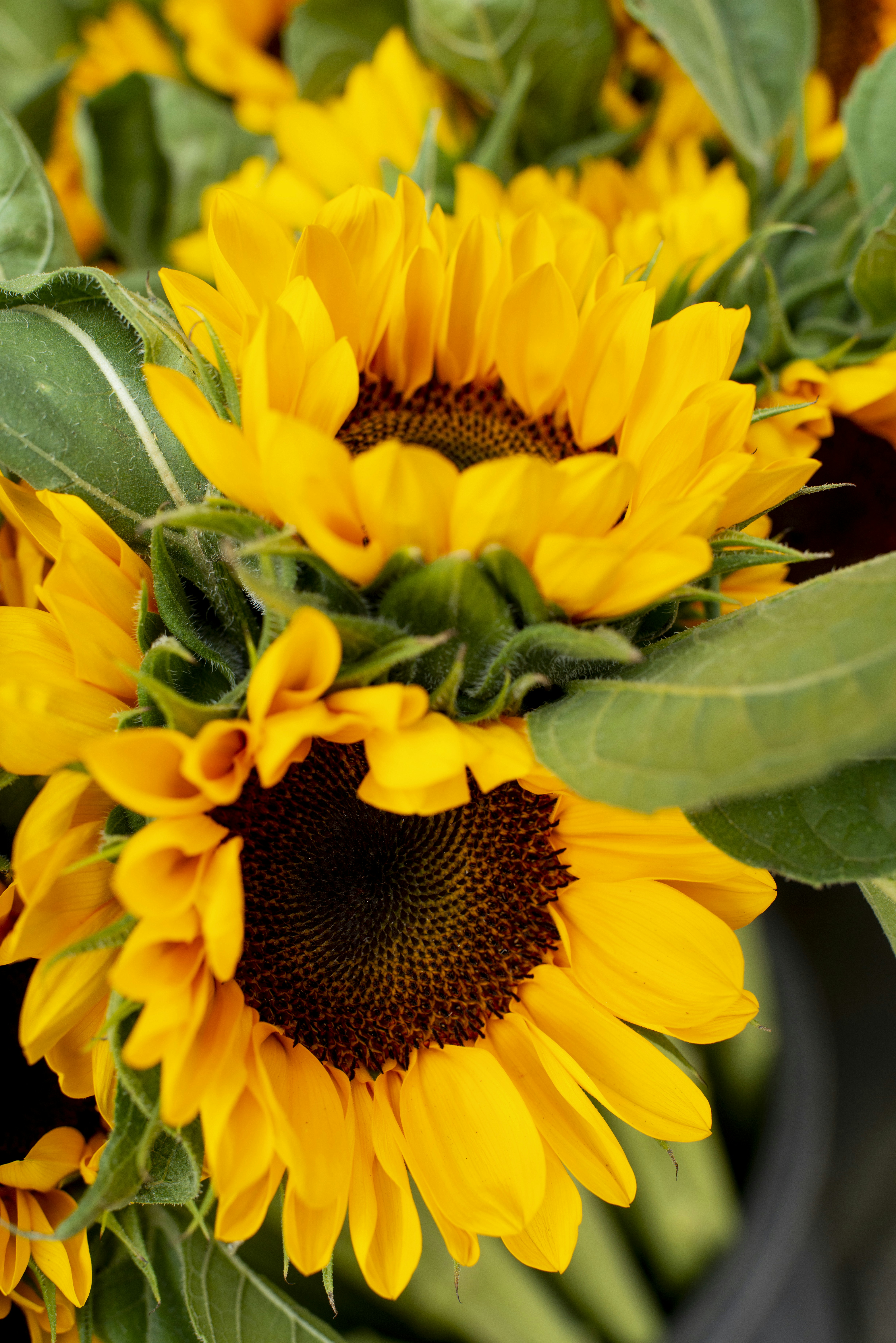 Photo by photographycoursenet