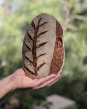 A hand holding a loaf of artisan bread with intricate designs scored on its surface. The bread has a rustic appearance with a dark, crusty exterior, and the background is blurred with hints of greenery.