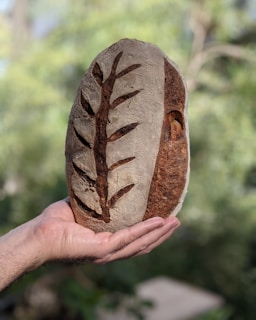 A hand holding a loaf of artisan bread with intricate designs scored on its surface. The bread has a rustic appearance with a dark, crusty exterior, and the background is blurred with hints of greenery.