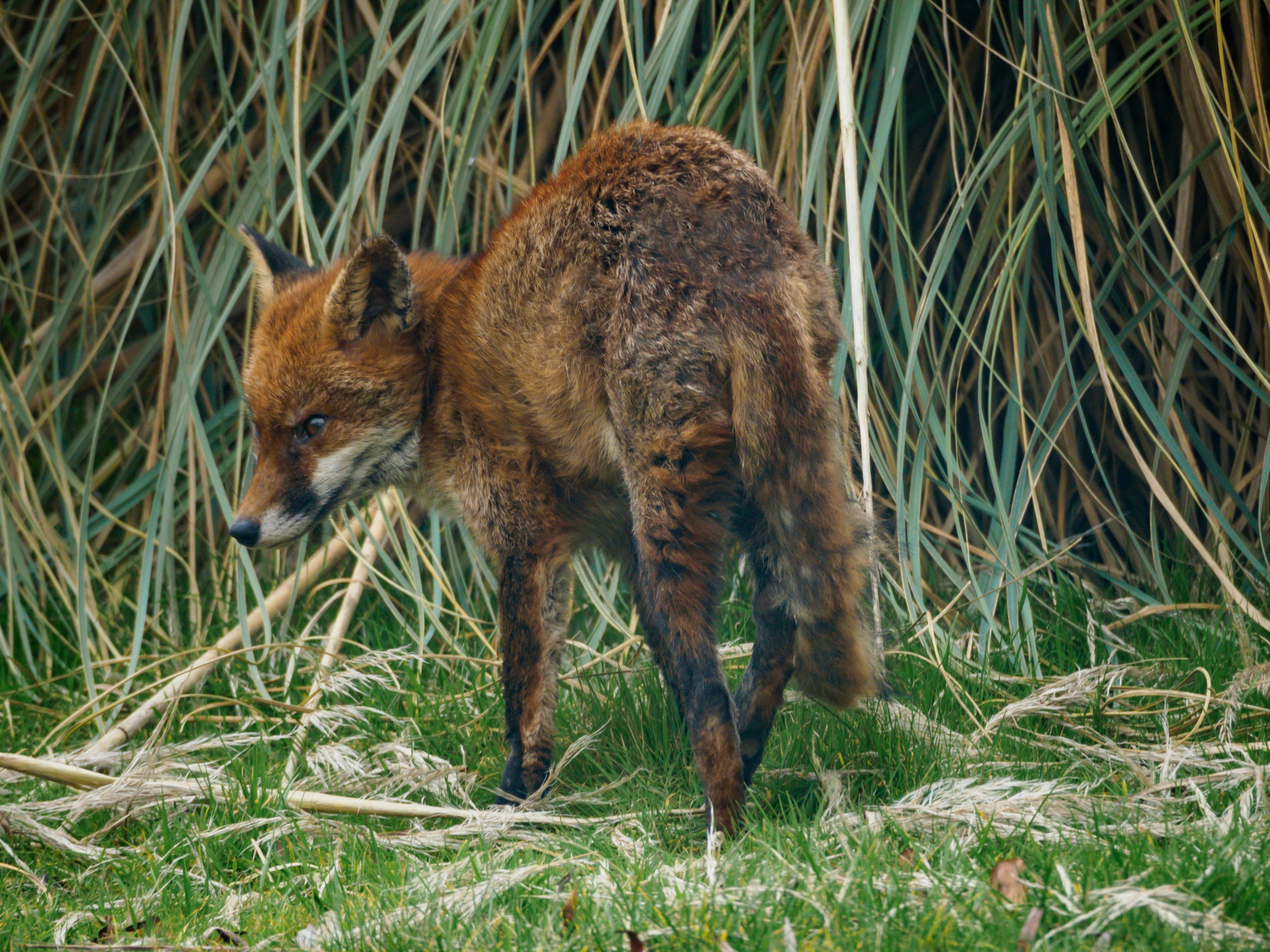 Photo by brett_jordan