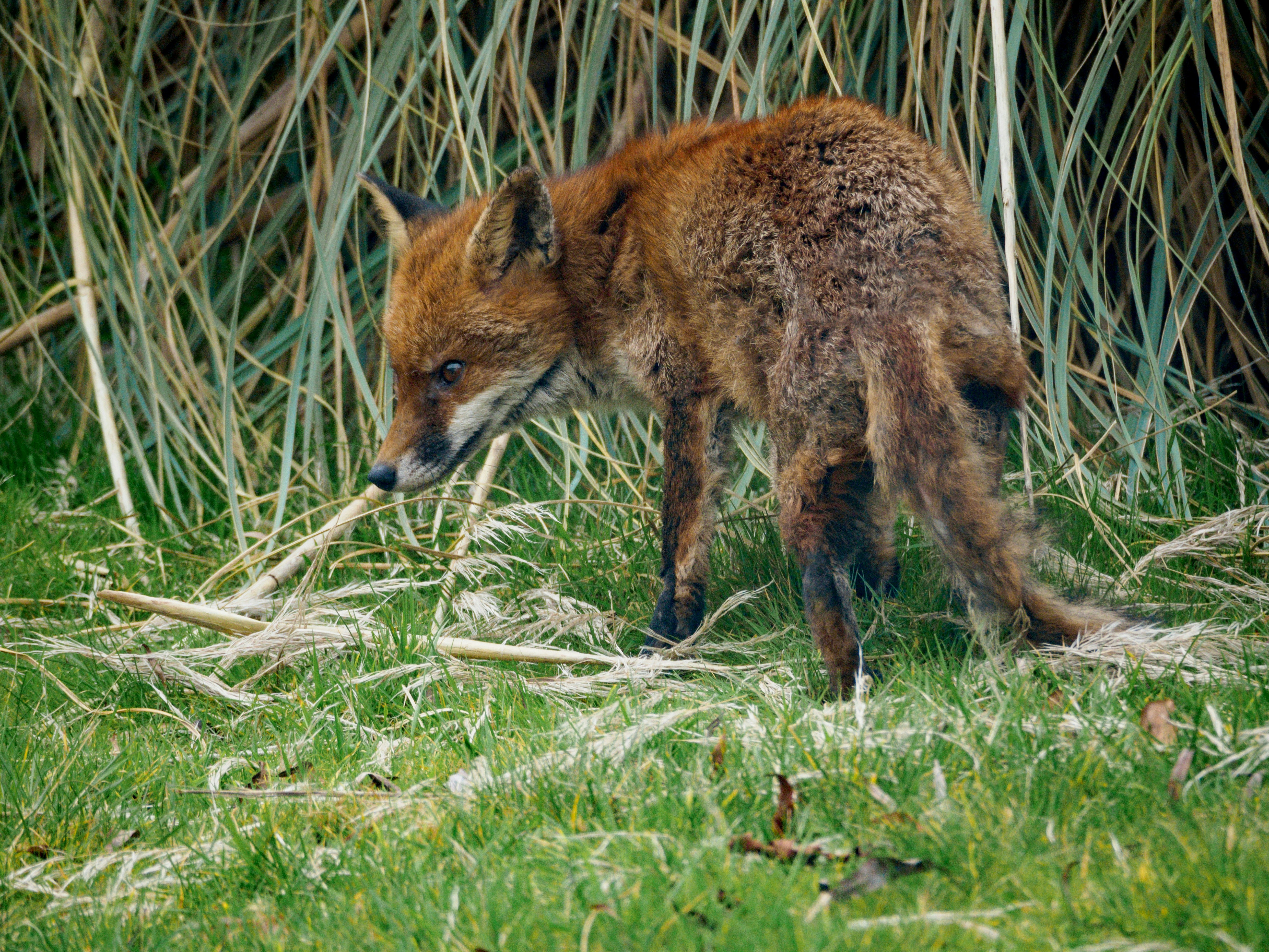 Photo by brett_jordan