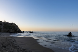 person standing on beach during daytime