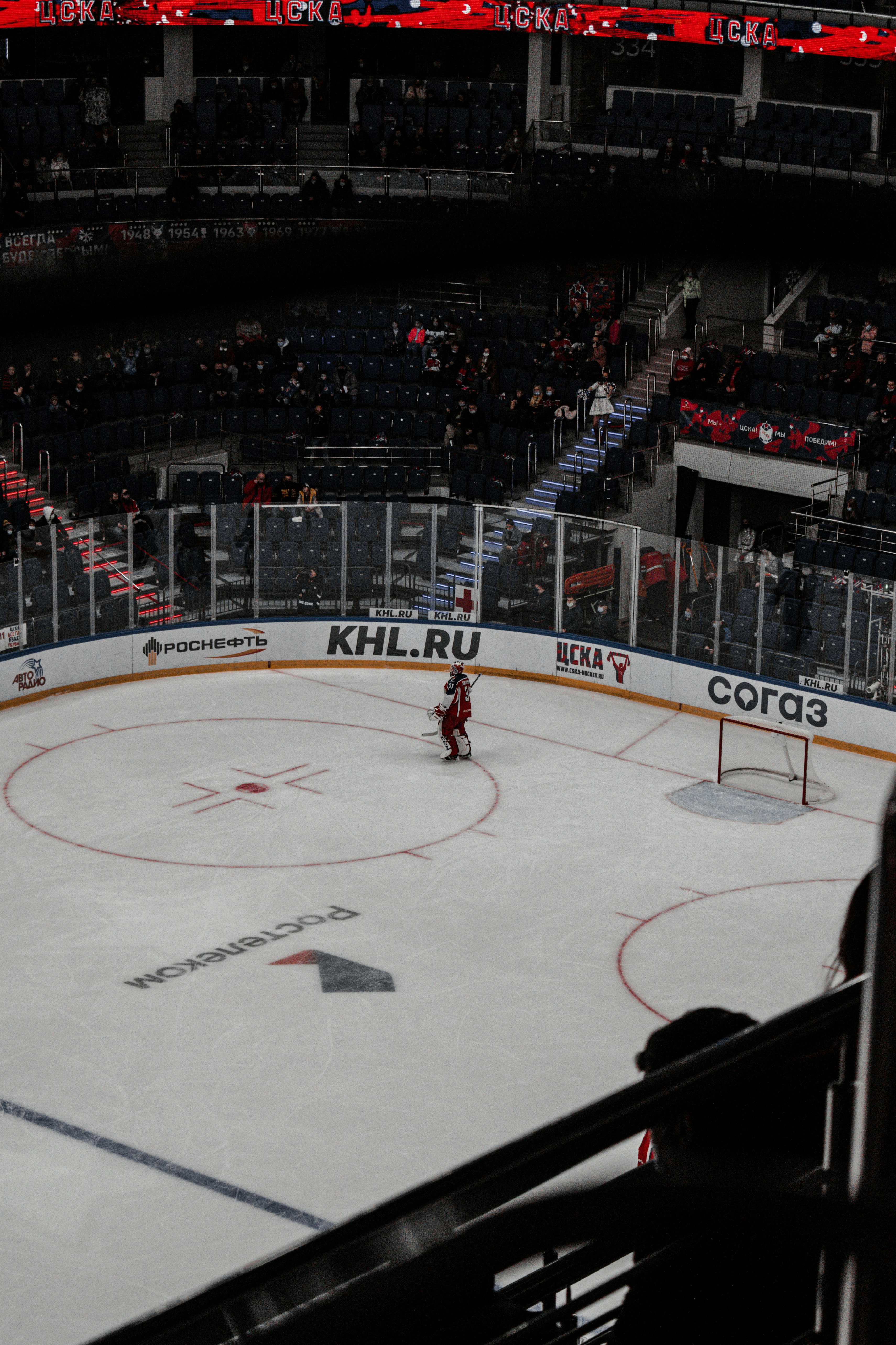 people watching ice hockey game