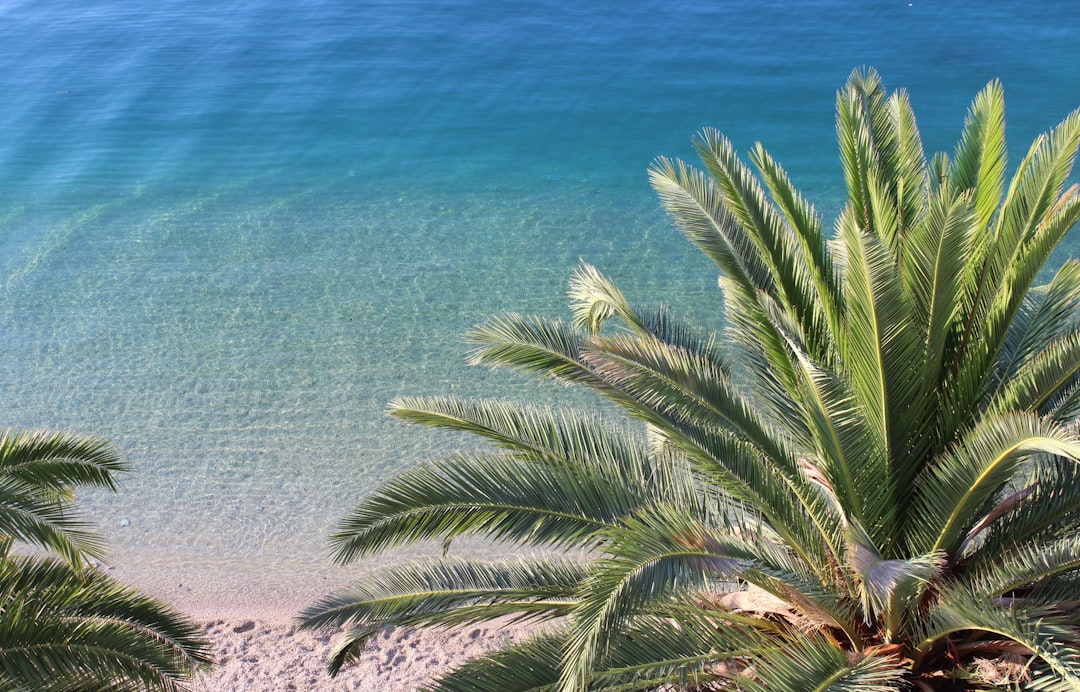 Sun, Sand, and Sea