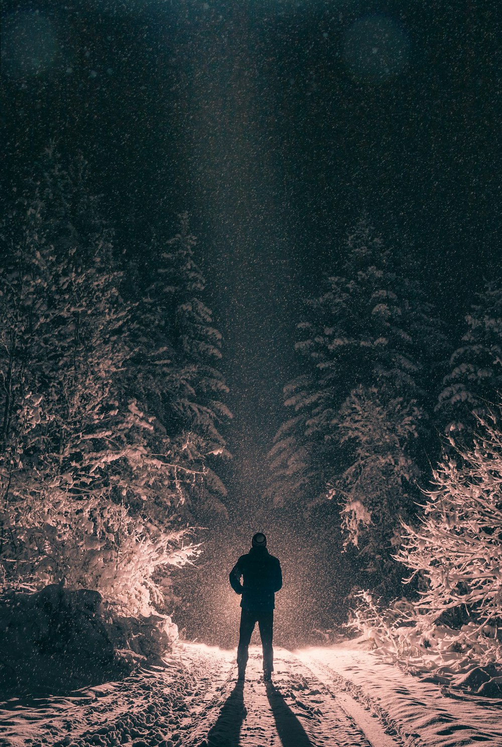 silhouette of man standing in front of bonfire