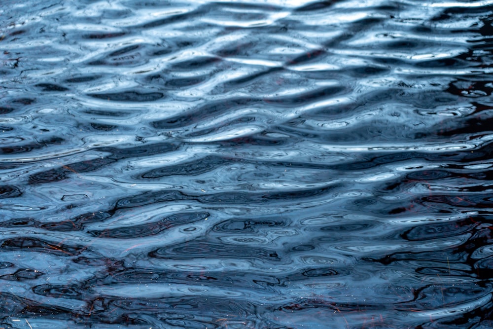 close up photo of body of water