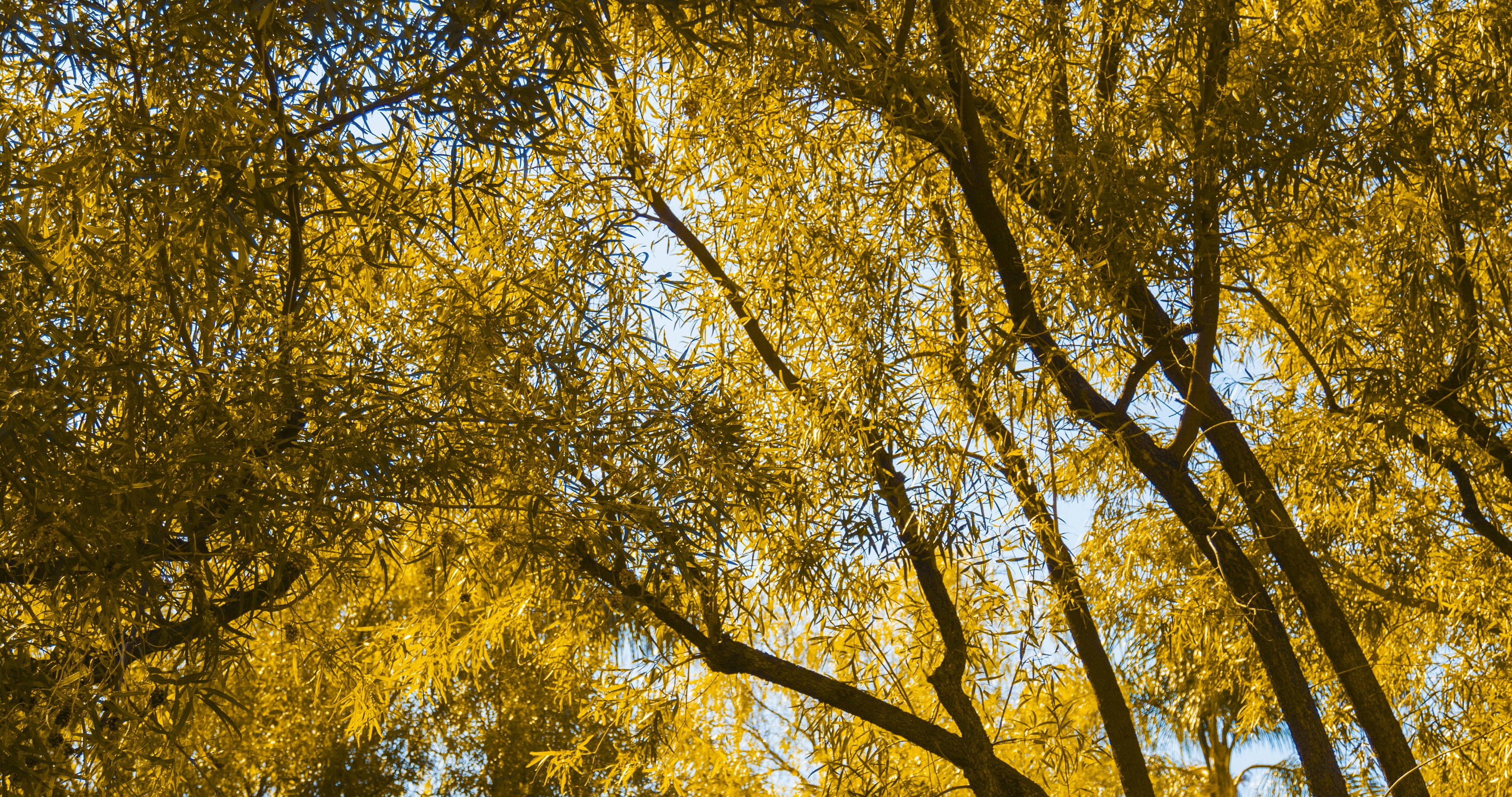 Photo by _nickwright_