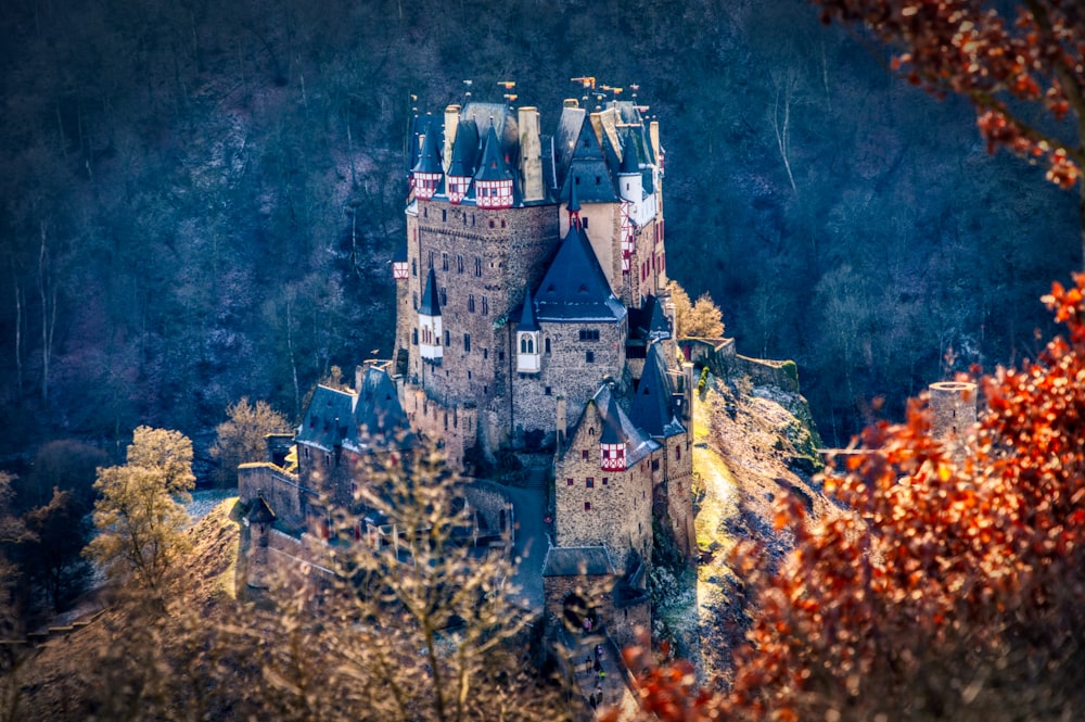 white and gray castle on cliff