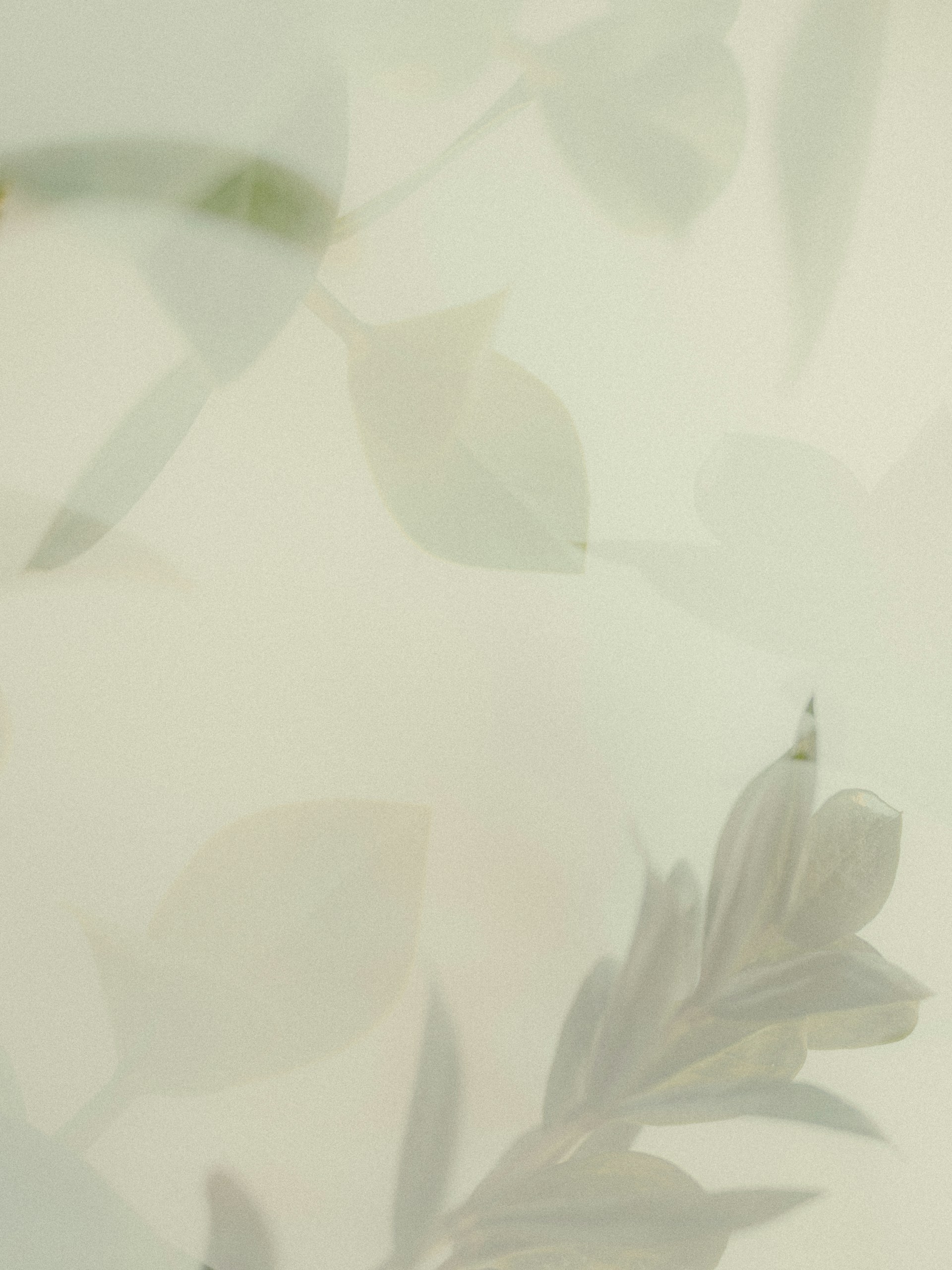 yellow and white floral textile