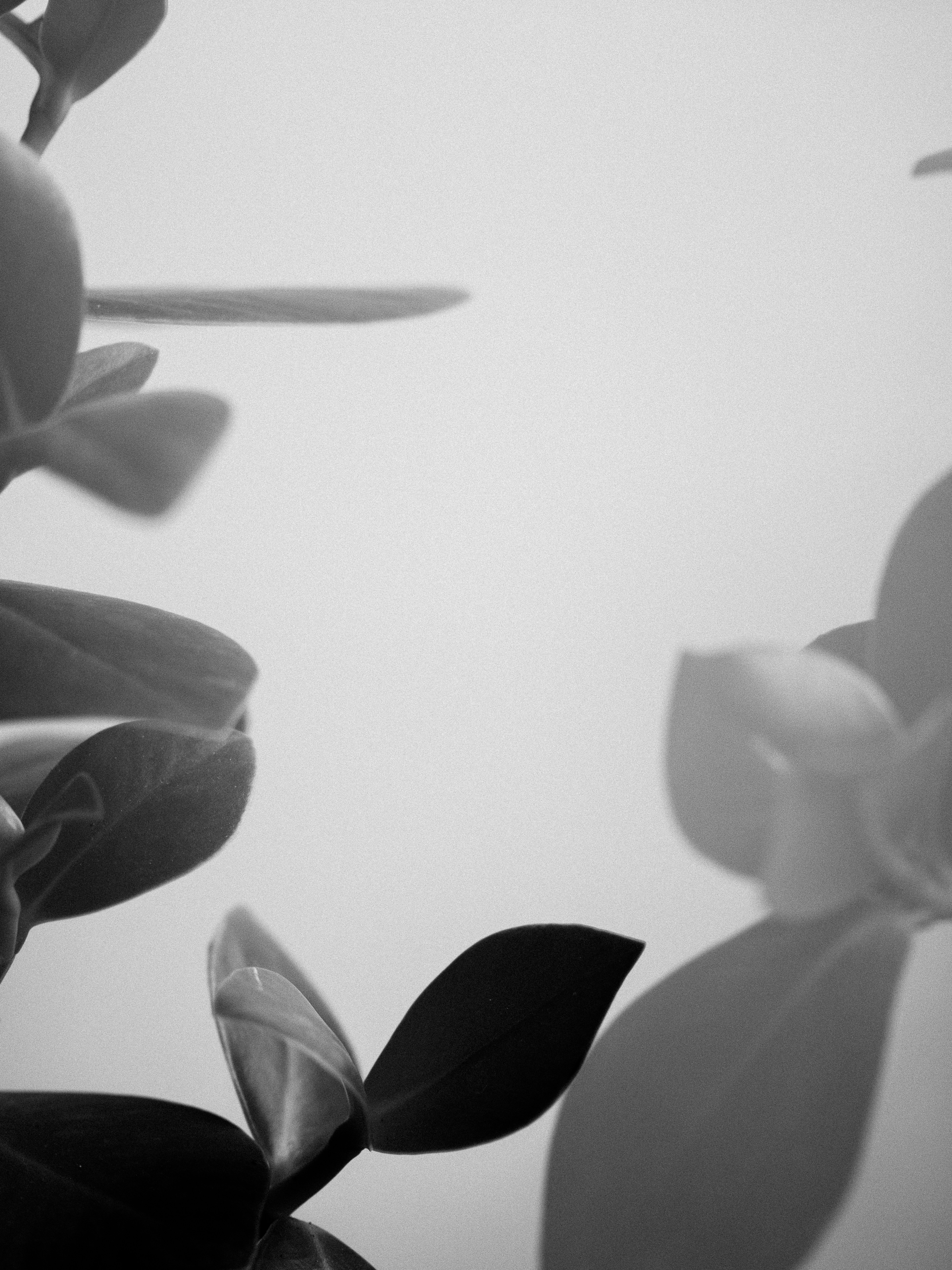 Photo by anniespratt