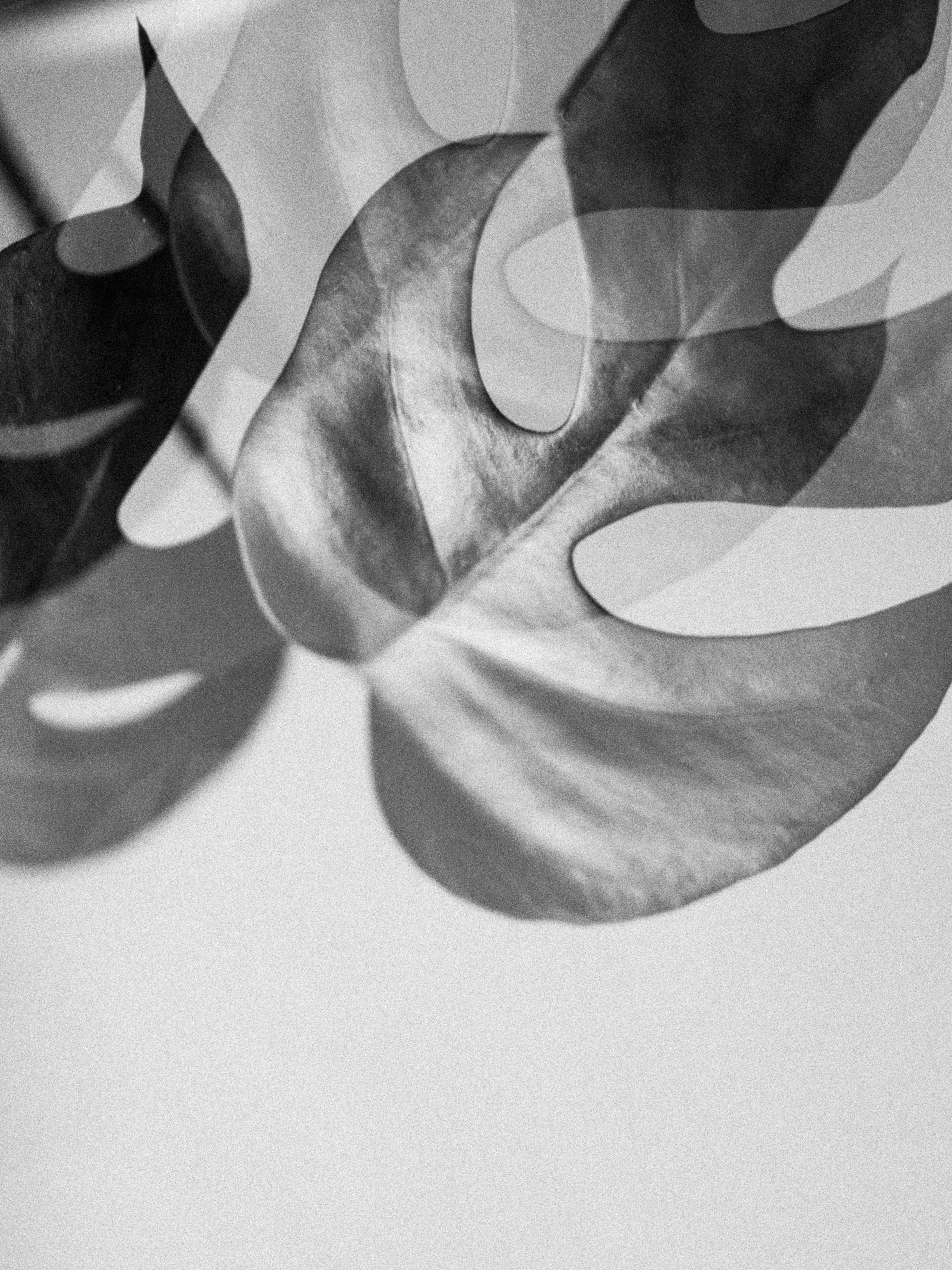 Photo by anniespratt