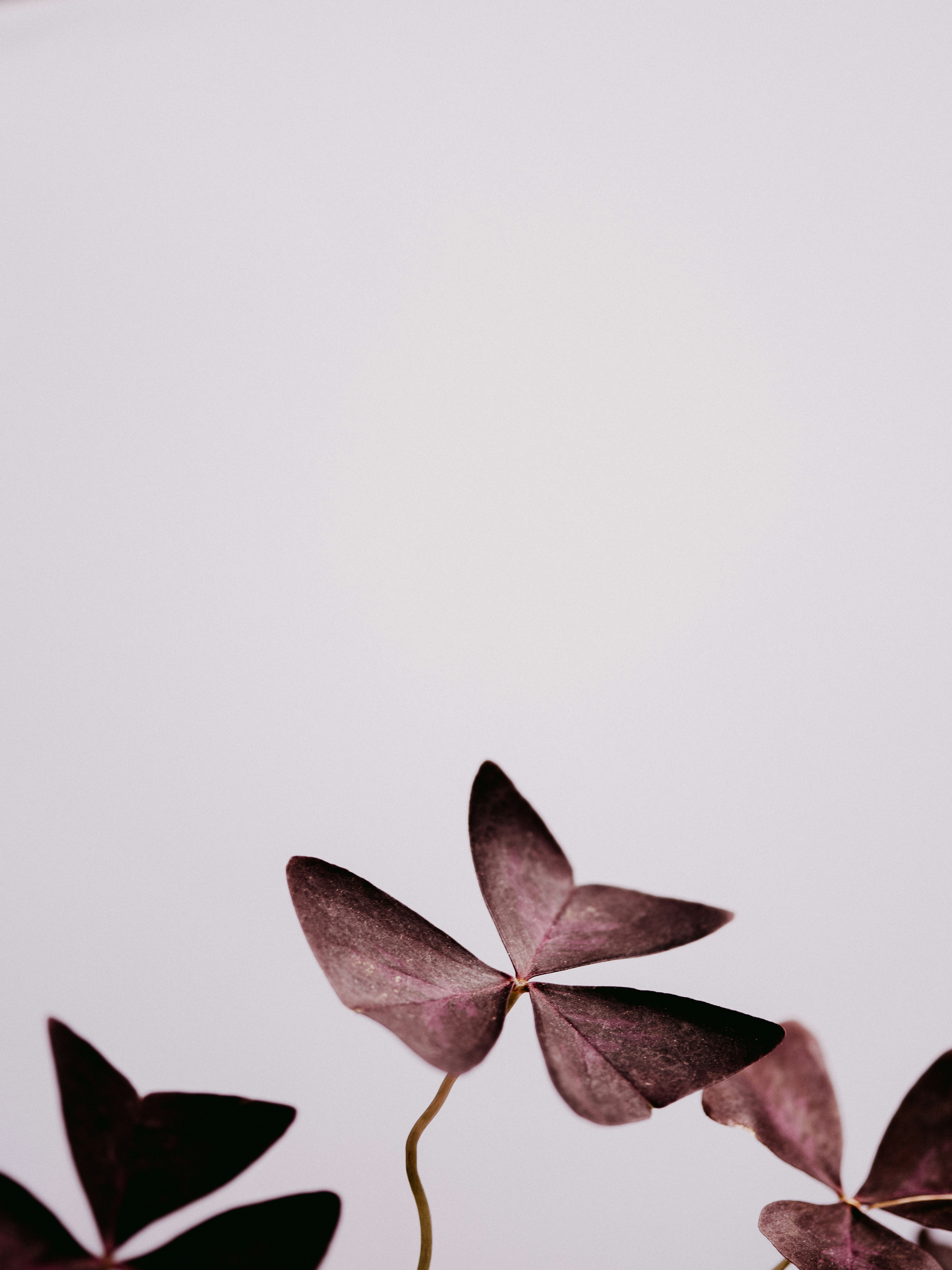 Photo by anniespratt