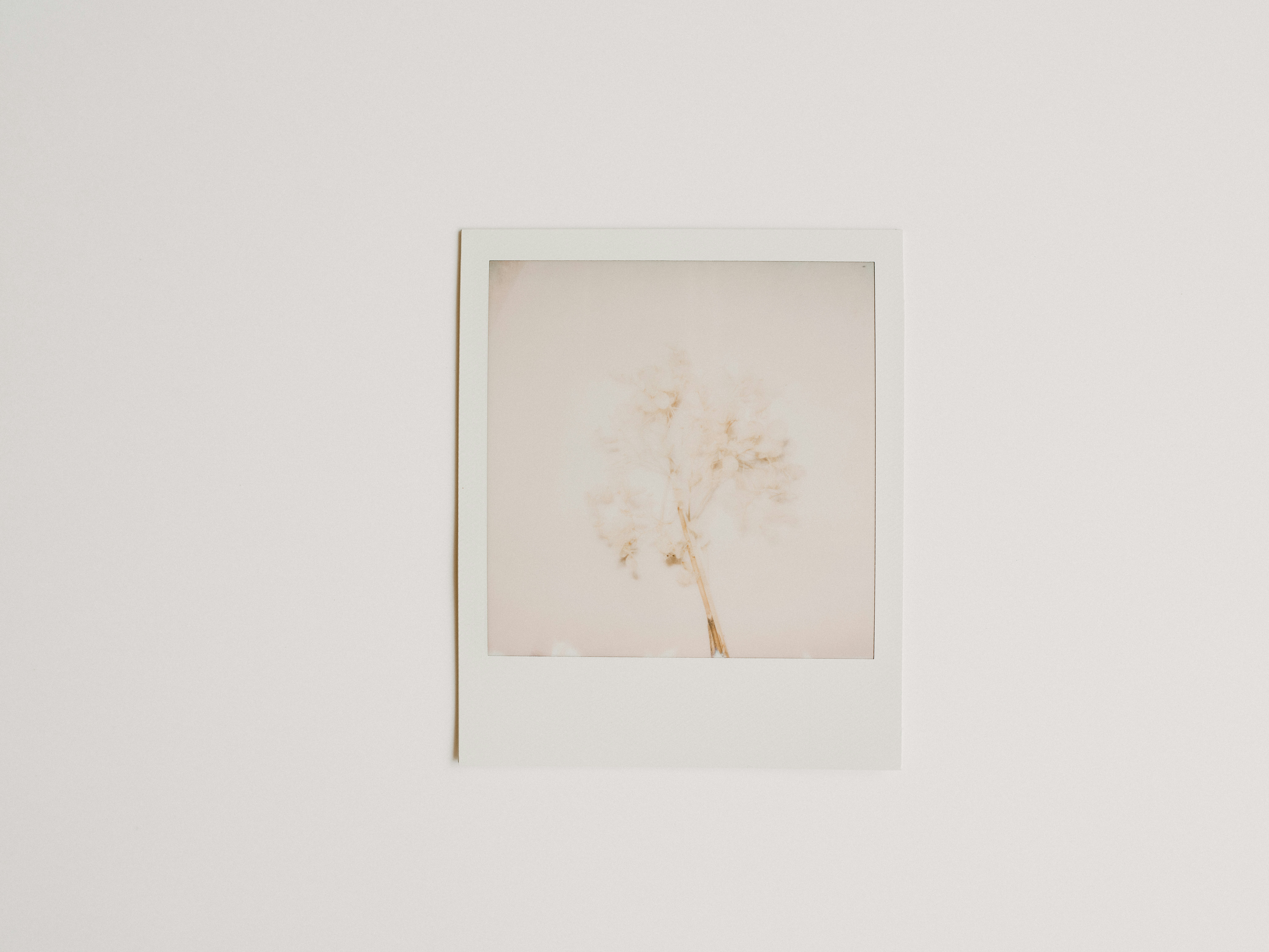 Photo by anniespratt