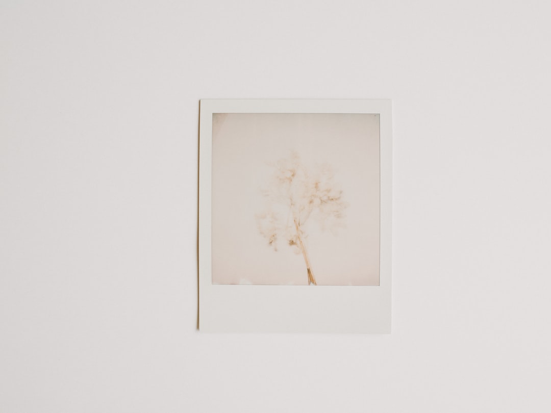 brown tree photo frame on white wall