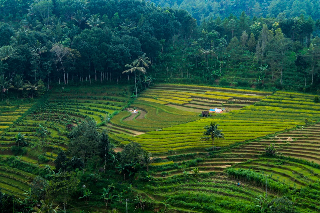 Highland photo spot Sendang Gunung Kelud