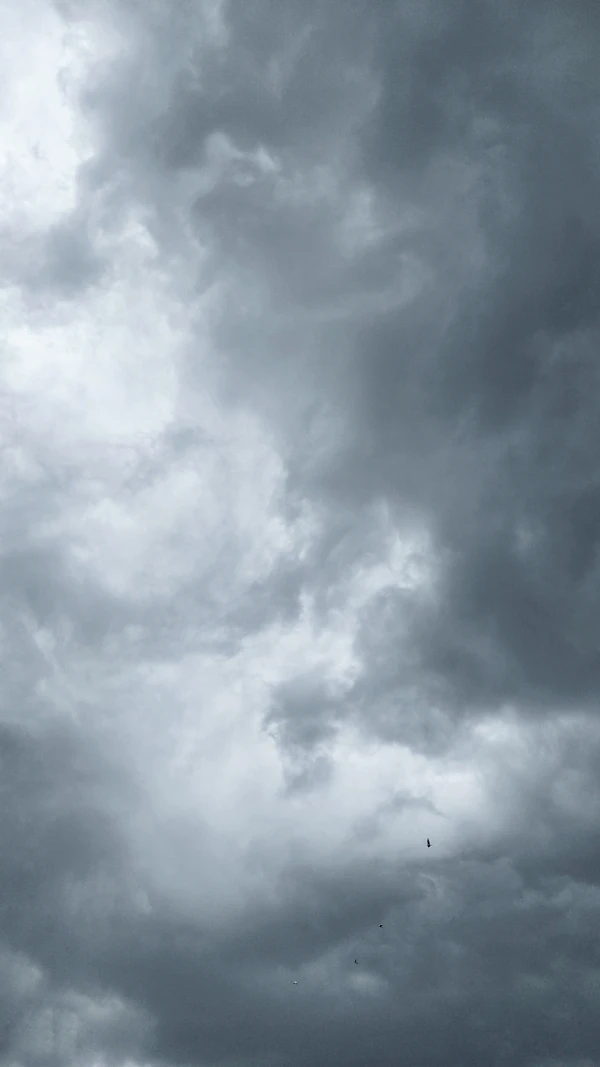 Dark grey storm clouds filling the sky with a few small birds flying