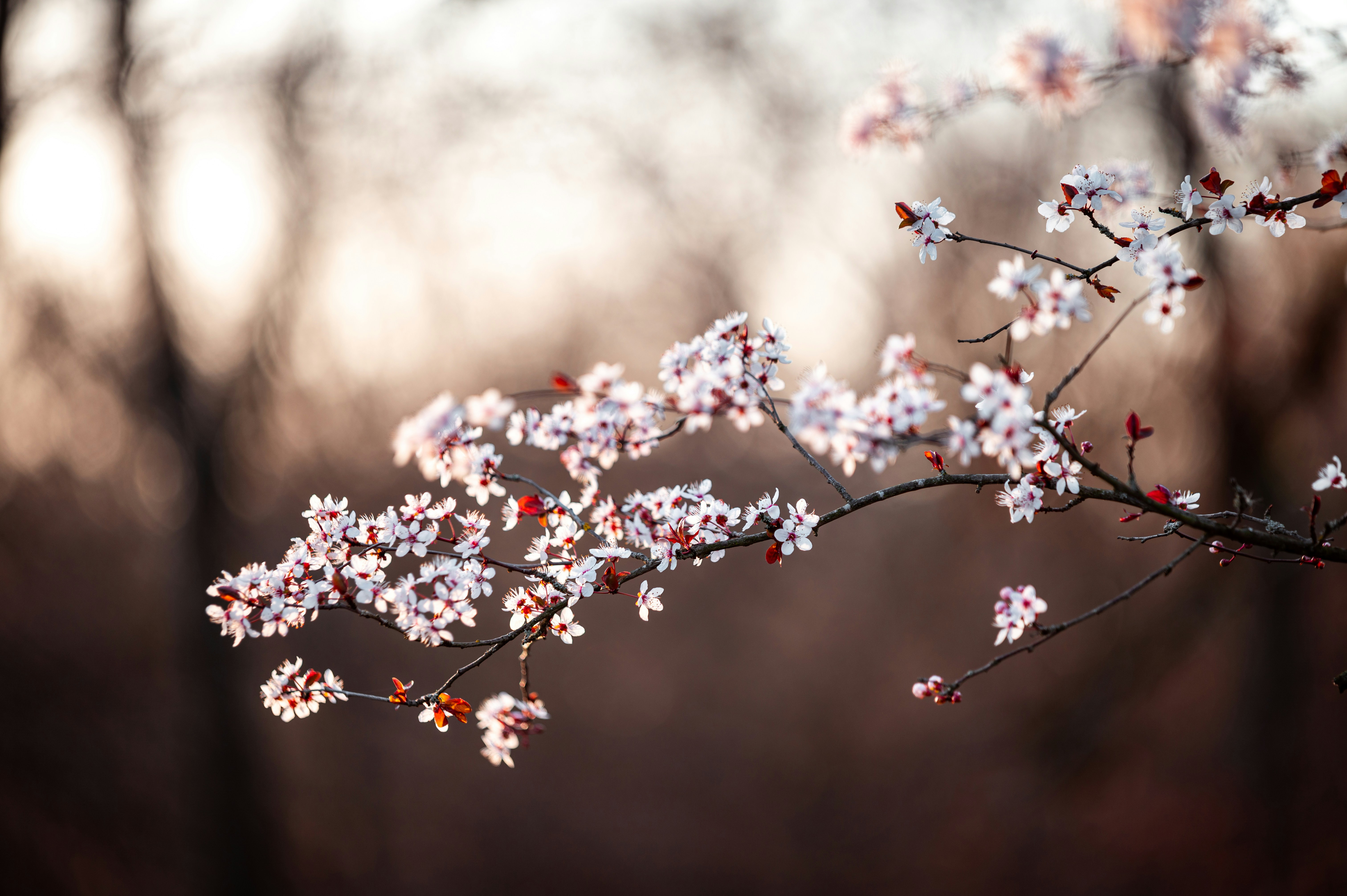 Photo by andreasbrun