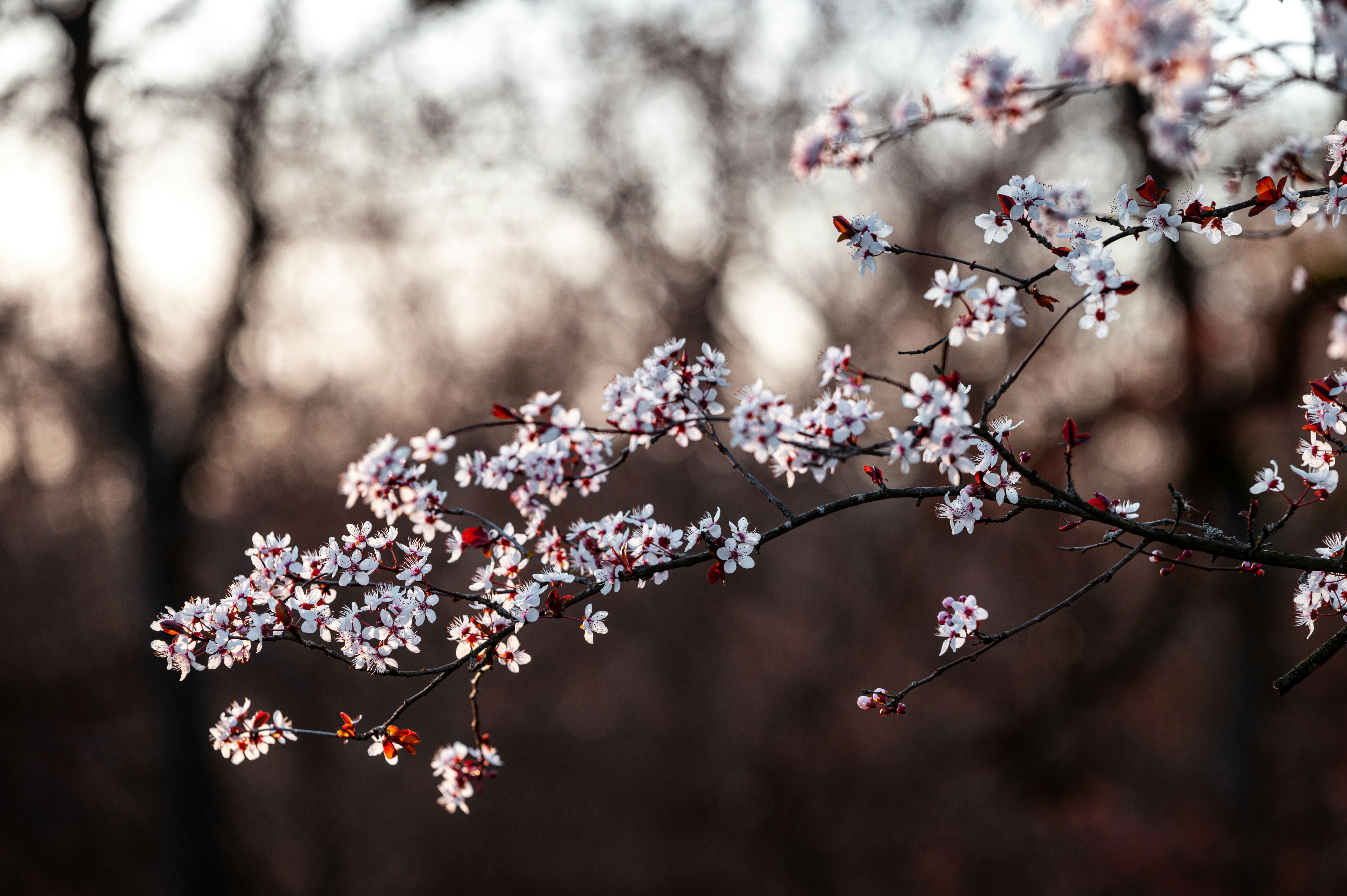 Photo by andreasbrun