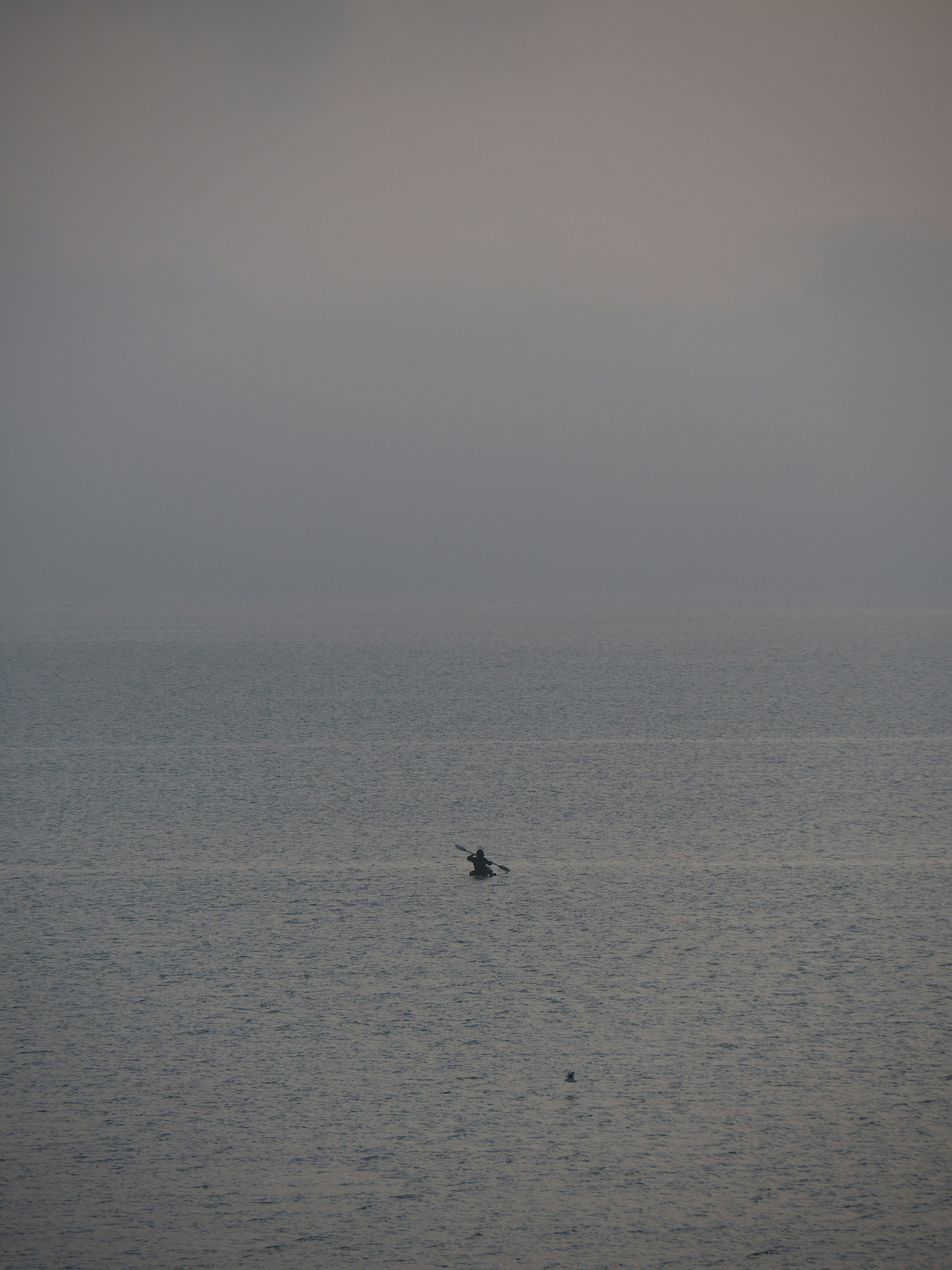 Photo by nimbus_vulpis